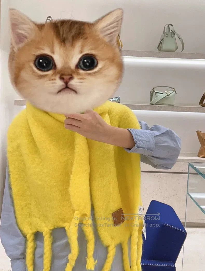 Loewe Loewe size 230*45cm Yellow mohair scarf Size ONE SIZE - 1 Thumbnail