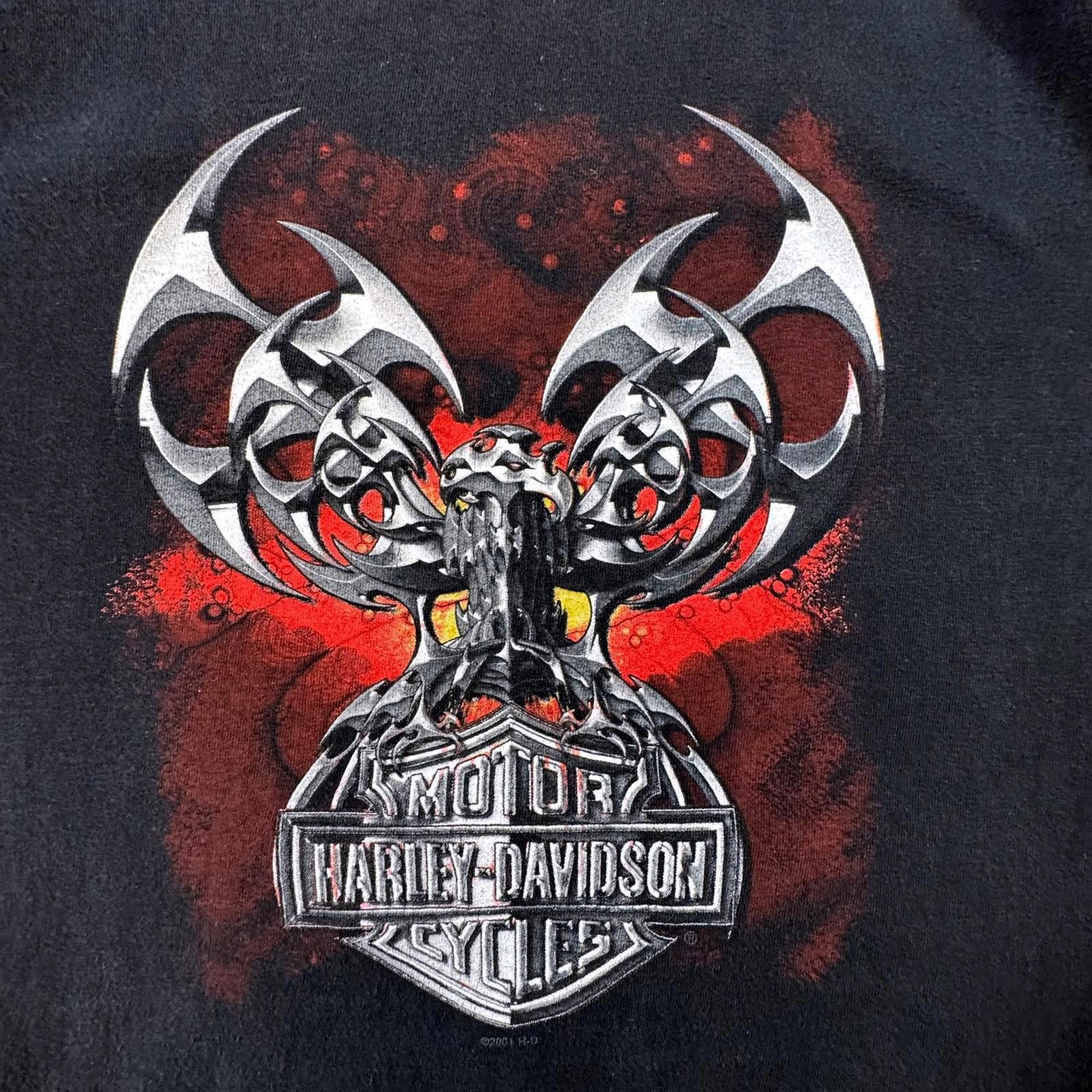 Harley Davidson Harley Davidson Shirt Men's XL Thunder Creek Double Sided Size US XL / EU 56 / 4 - 3 Thumbnail