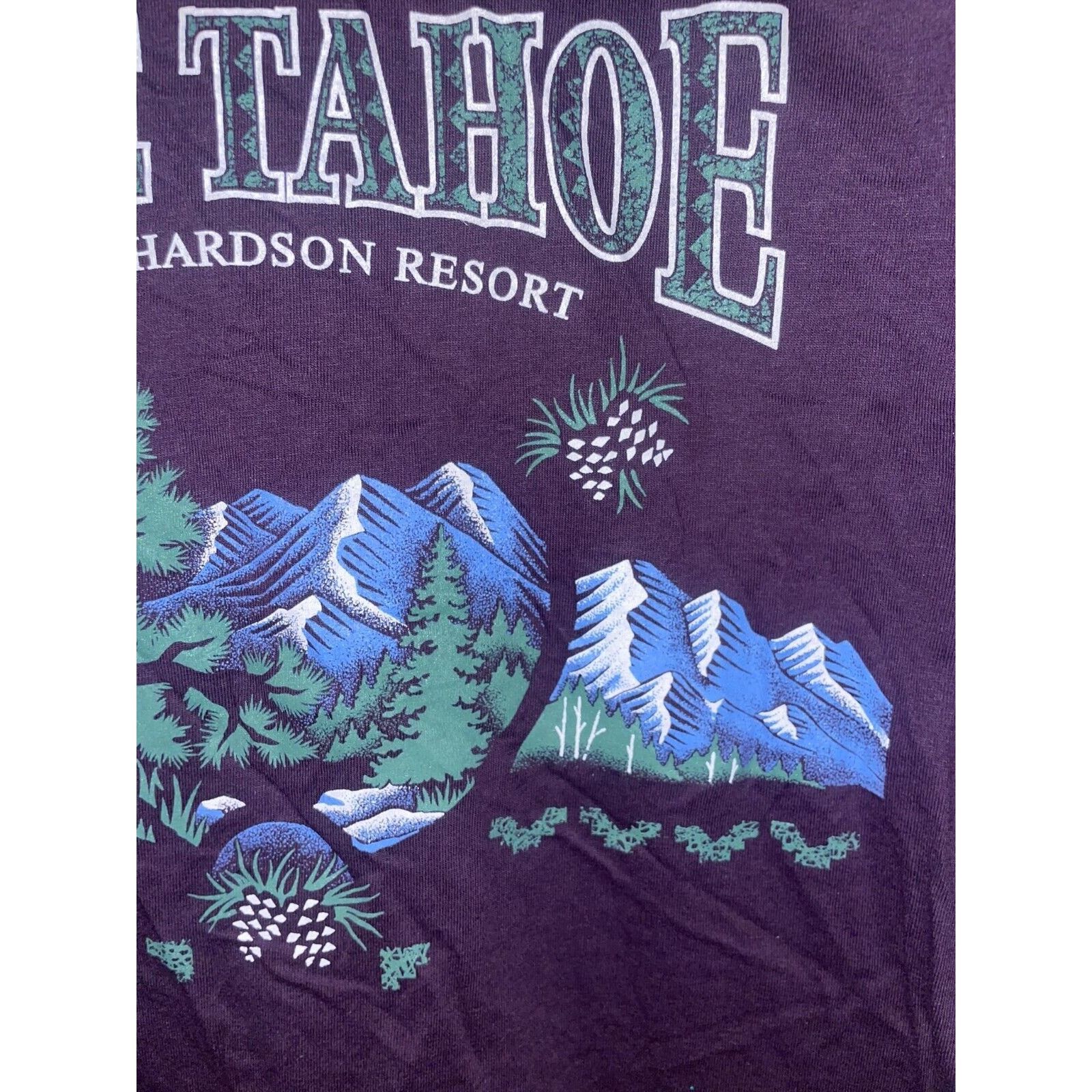 Jerzees Vintage Lake Tahoe Camp Richardson Shirt Test Print Tee 90s Size US M / EU 48-50 / 2 - 5 Thumbnail