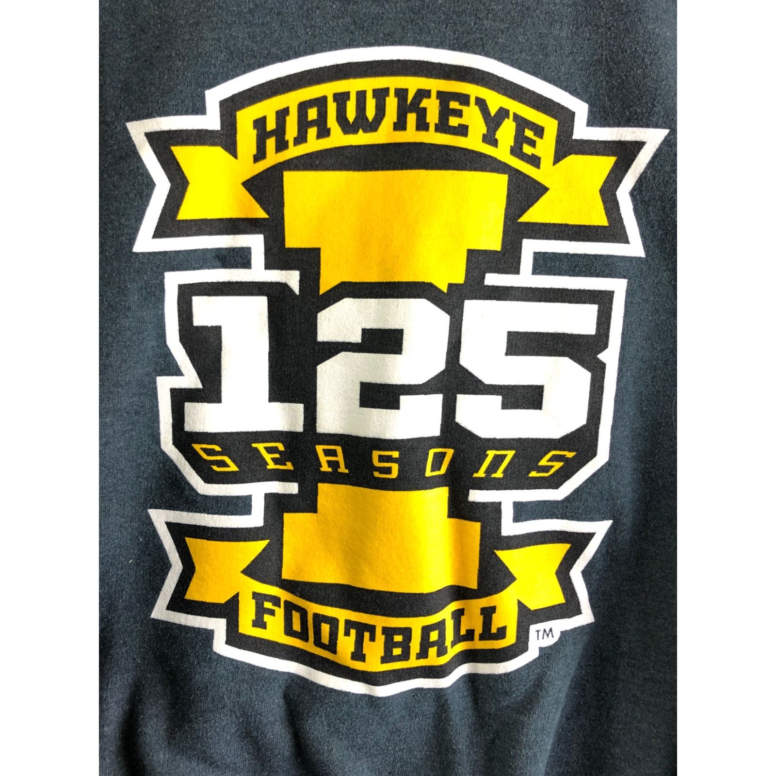 Vintage Iowa Hawkeyes Mens Medium Gray Long Sleeve Crew Neck Sweatshirt Size US M / EU 48-50 / 2 - 2 Thumbnail