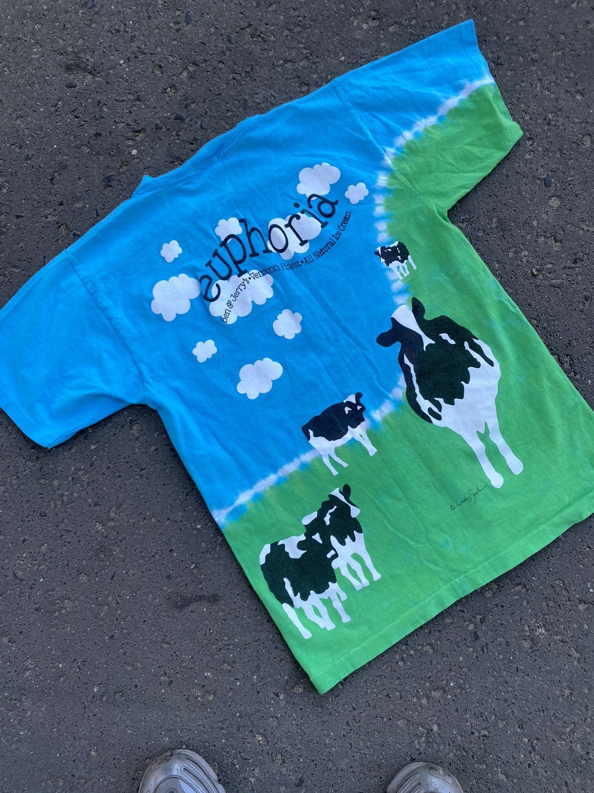 Liquid Blue Vintage Liquid Blue Ben&Jerry’s single stitch tee Size US M / EU 48-50 / 2 - 11 Thumbnail