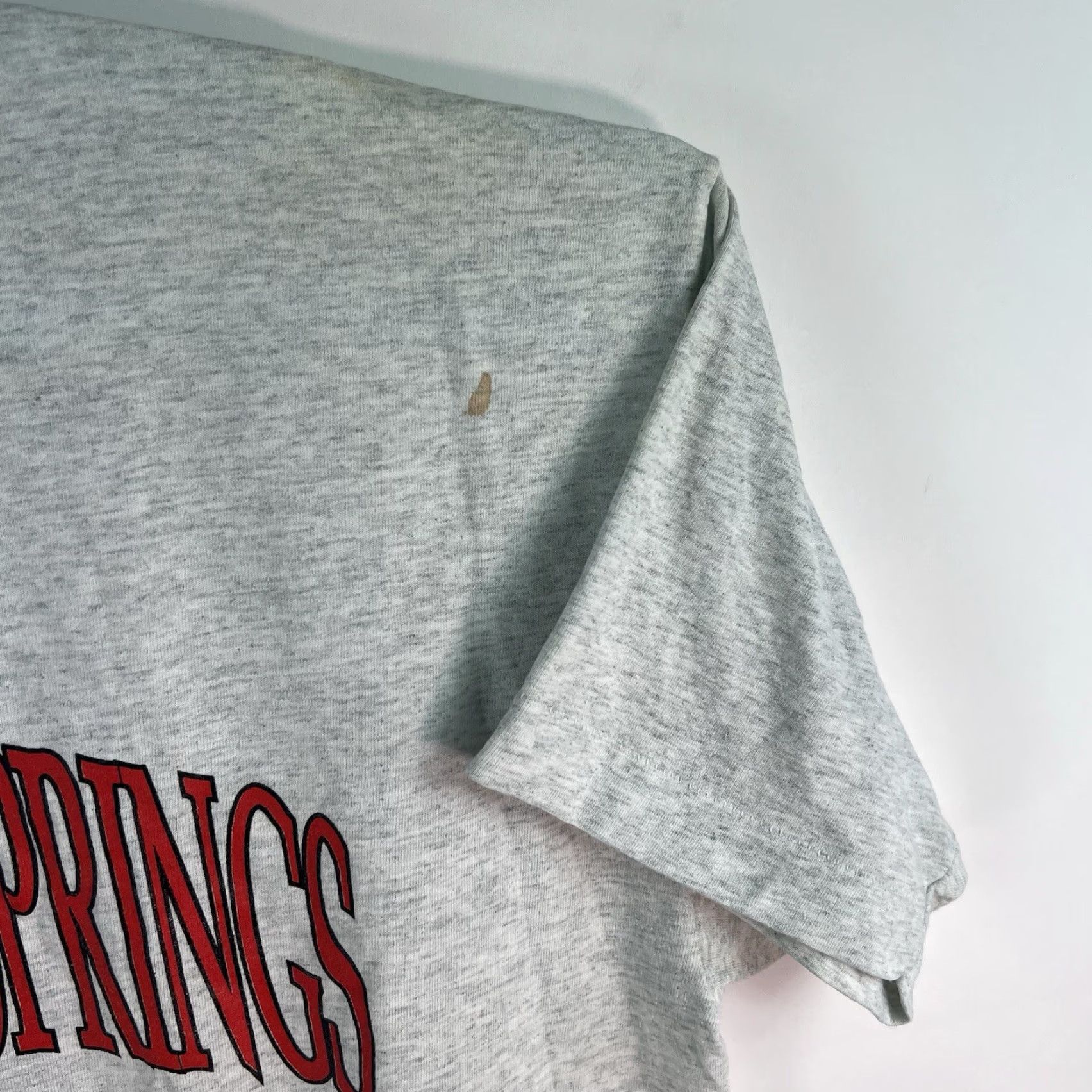 Fruit Of The Loom VINTAGE Wessington Springs South Dakota Vacation T-Shirt Adult Size Xl Size US XL / EU 56 / 4 - 4 Thumbnail