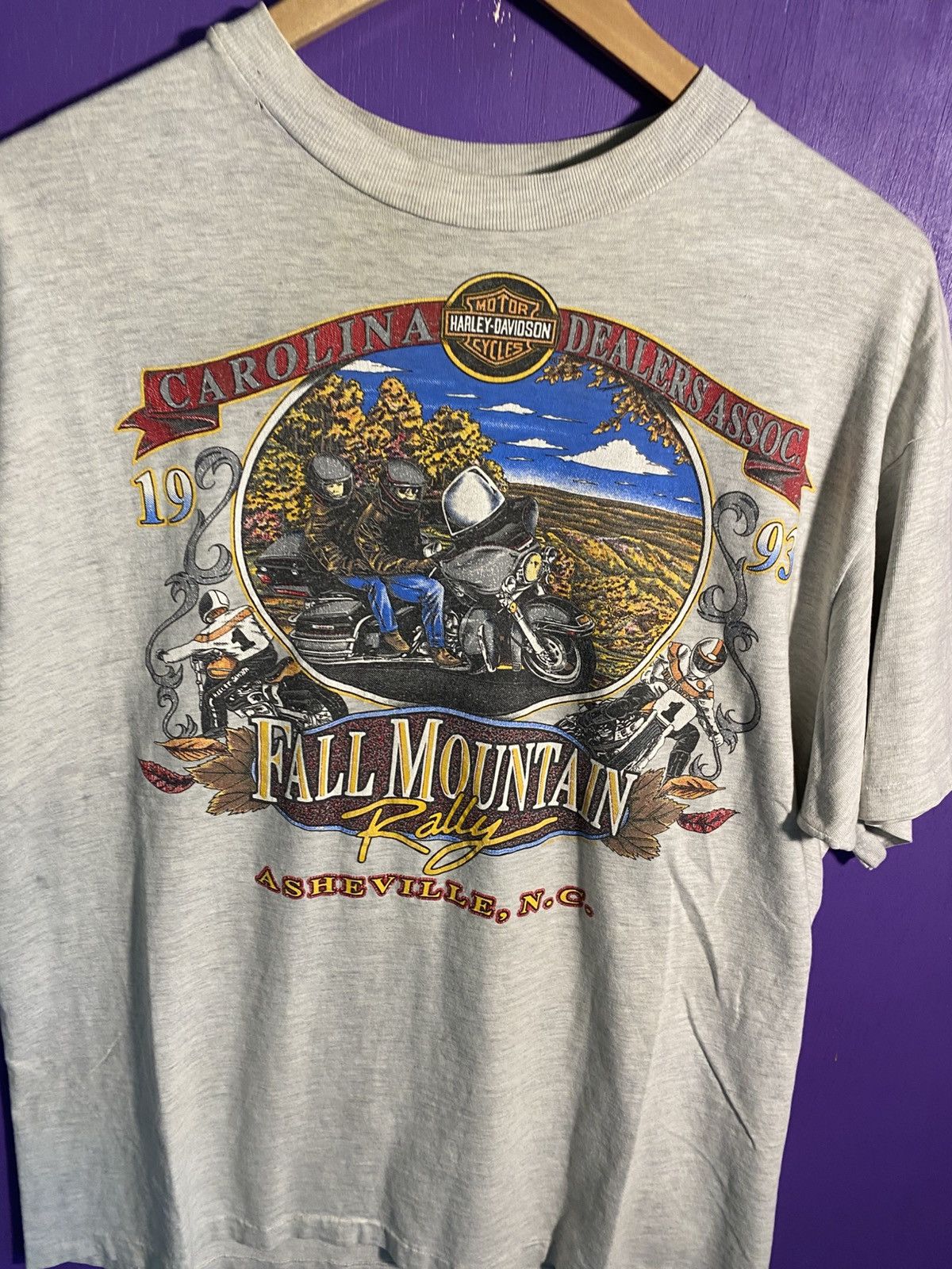 Harley Davidson Vintage 1993 Harley Davidson fall mountain t-shirt Size US L / EU 52-54 / 3 - 3 Thumbnail