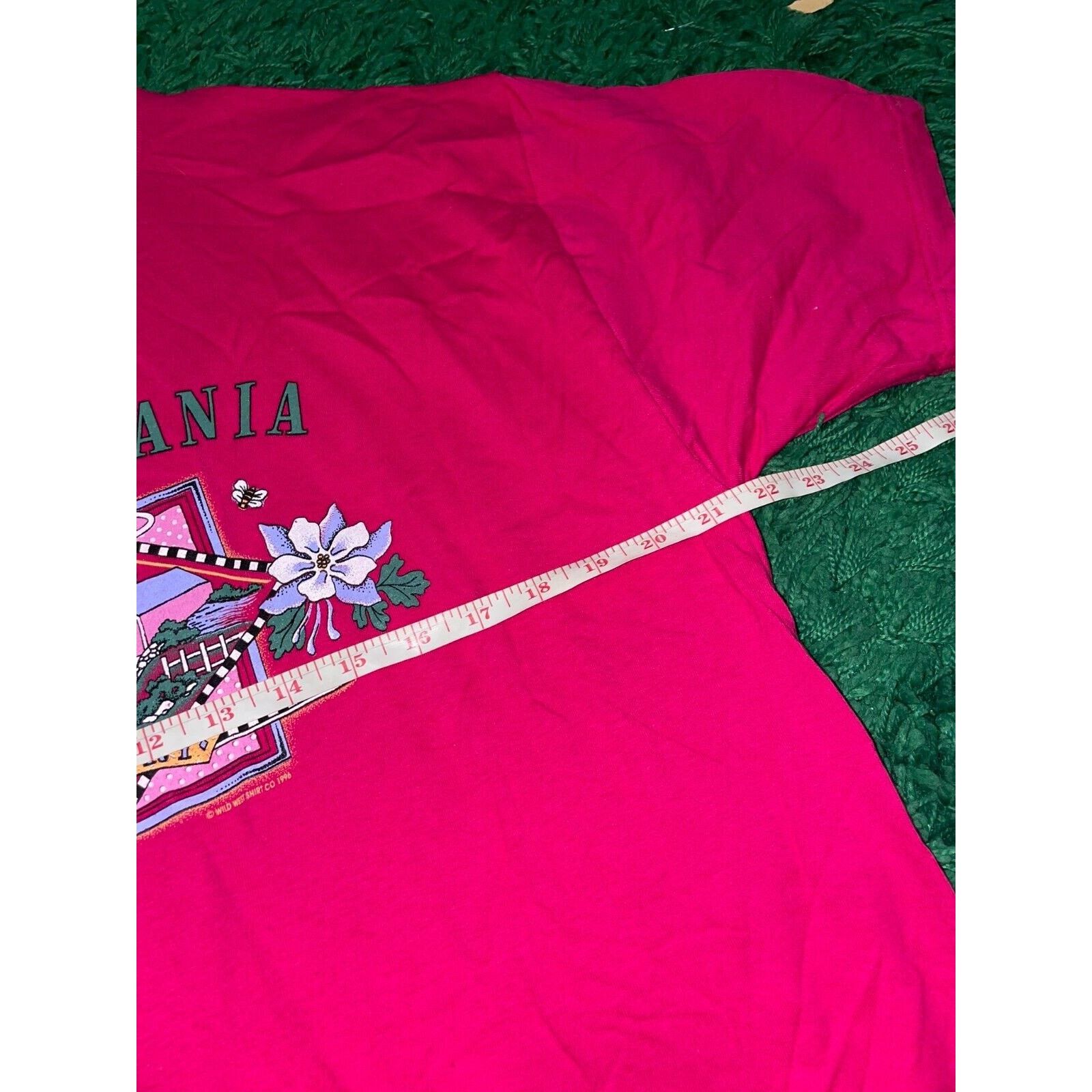 Jerzees Vintage Amish Shirt Pennsylvania Country Tee Pink VTG 90s L Size US L / EU 52-54 / 3 - 9 Thumbnail