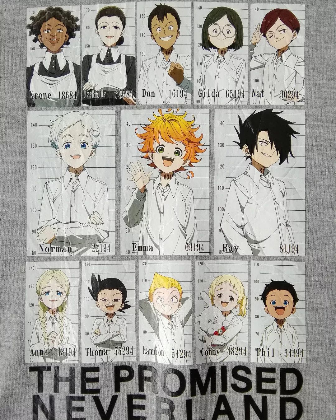 Anime The Promised Neverland Chara Art Anime Hoodie Size US L / EU 52-54 / 3 - 3 Thumbnail