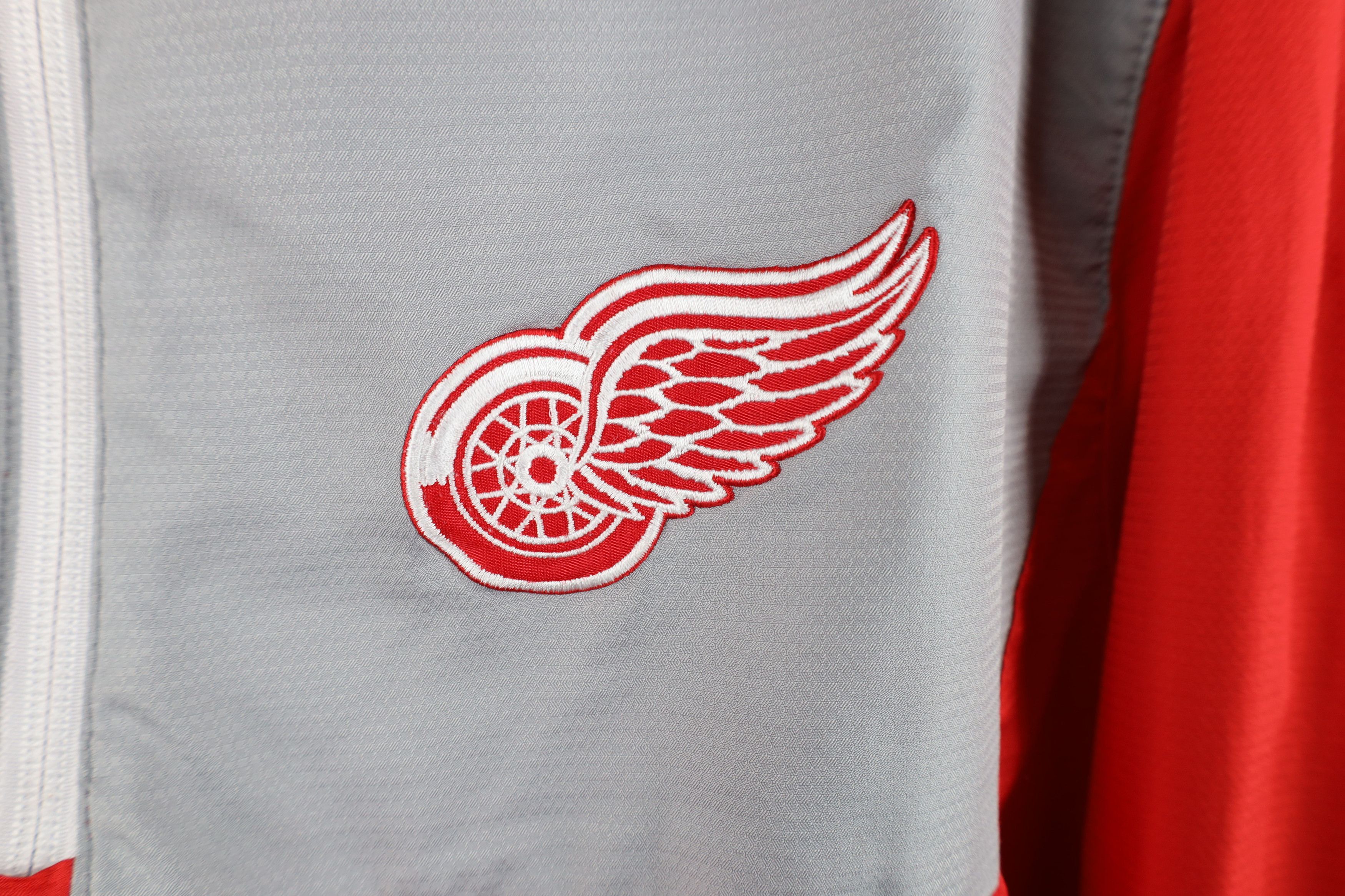 Reebok Reebok Center Ice Detroit Red Wings Hockey Pullover Jacket Size US L / EU 52-54 / 3 - 4 Thumbnail