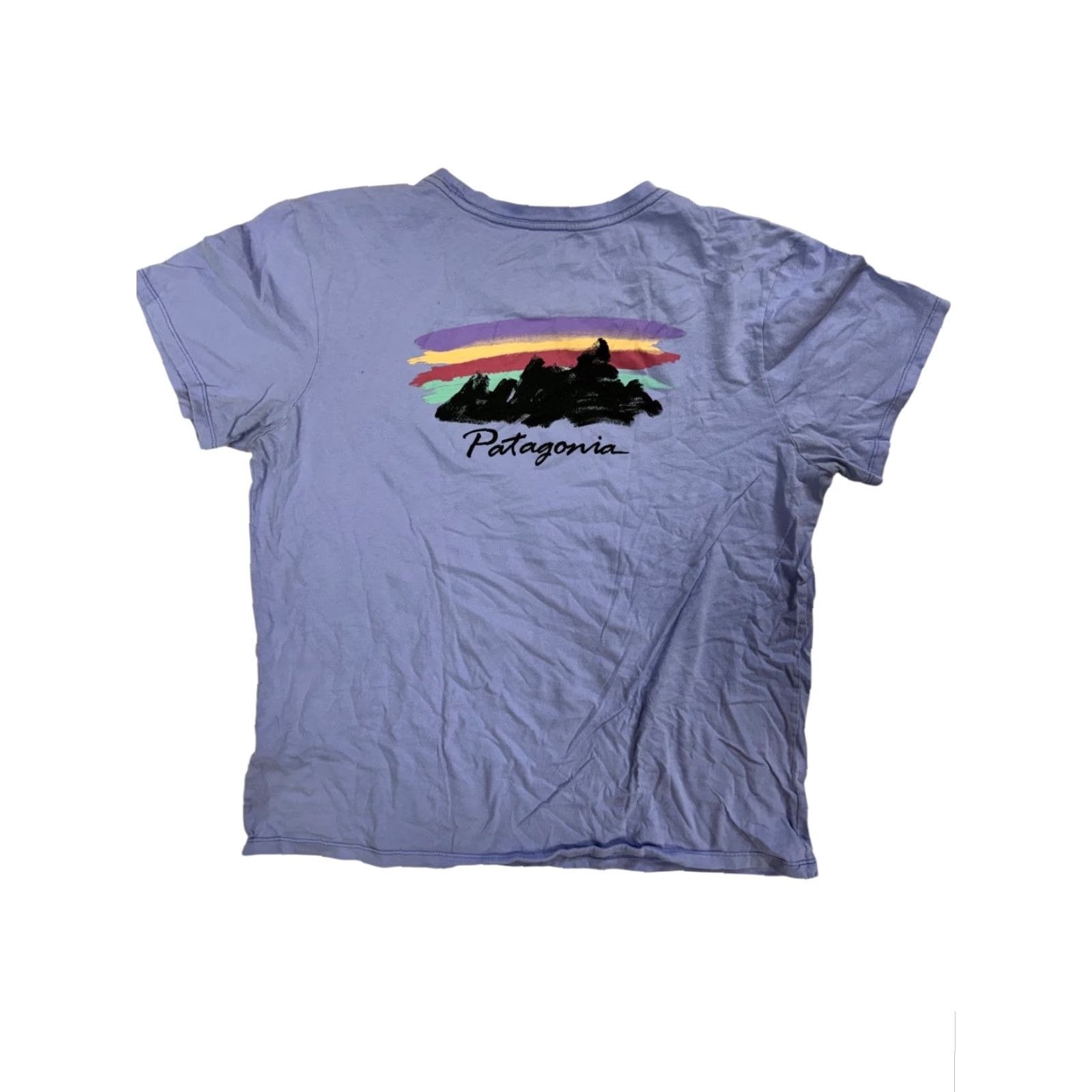 Patagonia Patagonia Women's T-Shirt Organic Cotton Crew Neck Short Sleeve Regular M Blue Graphic Print Mountain Logo 90s? Size M / US 6-8 / IT 42-44 - 4 Thumbnail