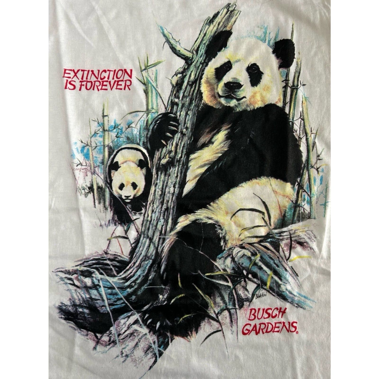Champion VINTAGE Busch Gardens Panda Graphic T-Shirt Champion Mens L NOS 90s White 90s Mens Size US L / EU 52-54 / 3 - 3 Thumbnail
