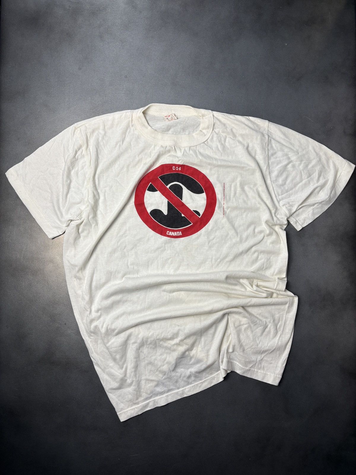 Vintage Vintage Political Protest Tee Kinda Sus Butt Sex Gay? Or No? Size US L / EU 52-54 / 3 - 1 Thumbnail