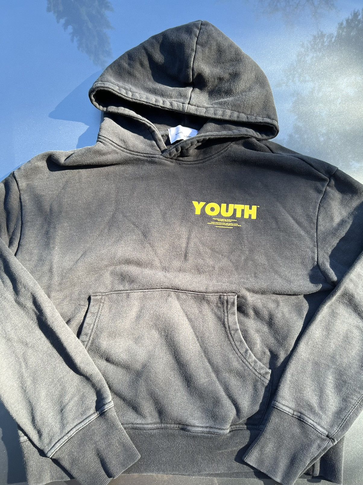 image of Youth&machine Youth Machine Swans Hoddie in Black, Men's (Size Small)