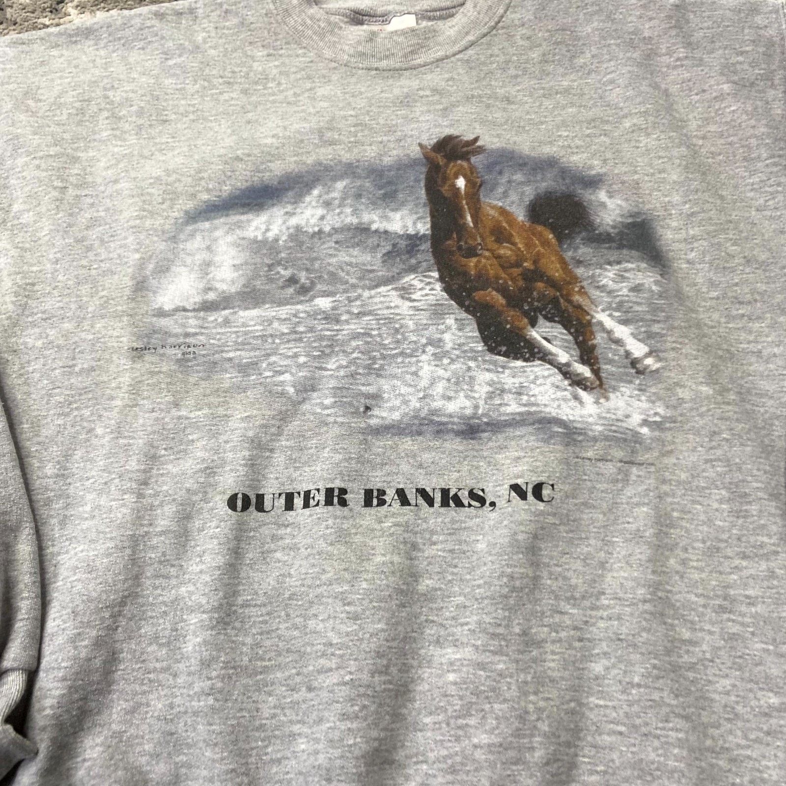 Hanes VTG Hanes Nature Printpro Sweatshirt Sz L Gray Wild Horse Size US L / EU 52-54 / 3 - 2 Thumbnail