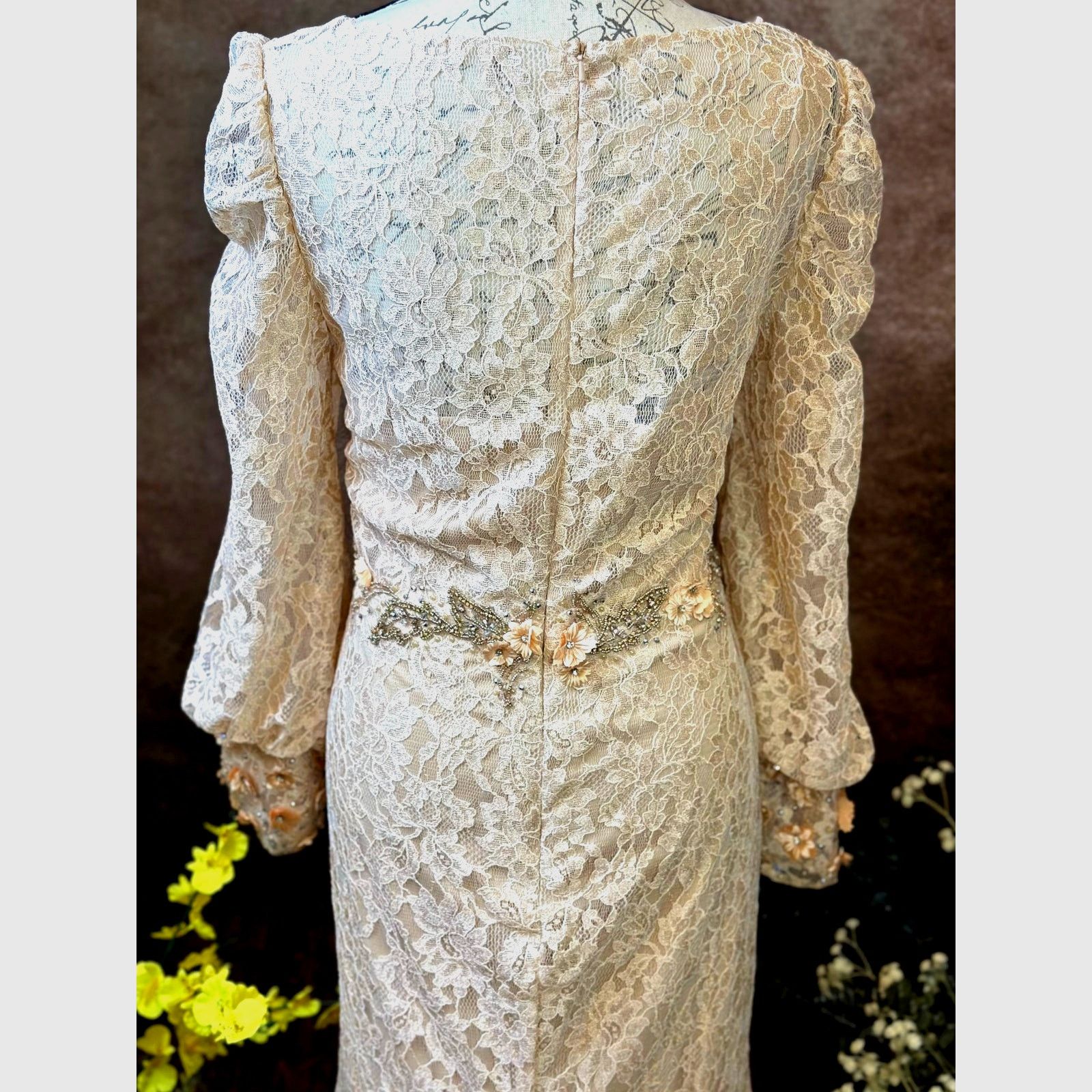 Other Mac Duggal Lace V Neck Embellished Gown Blush size 12 Size XL / US 12-14 / IT 48-50 - 16 Thumbnail