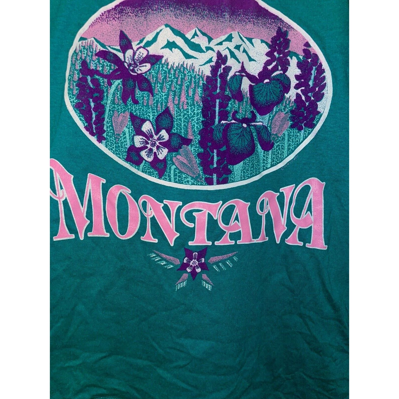 Jerzees 1980s Vintage Jerzees Montana Wildflower Teal Shirt 80s M Size US M / EU 48-50 / 2 - 5 Thumbnail