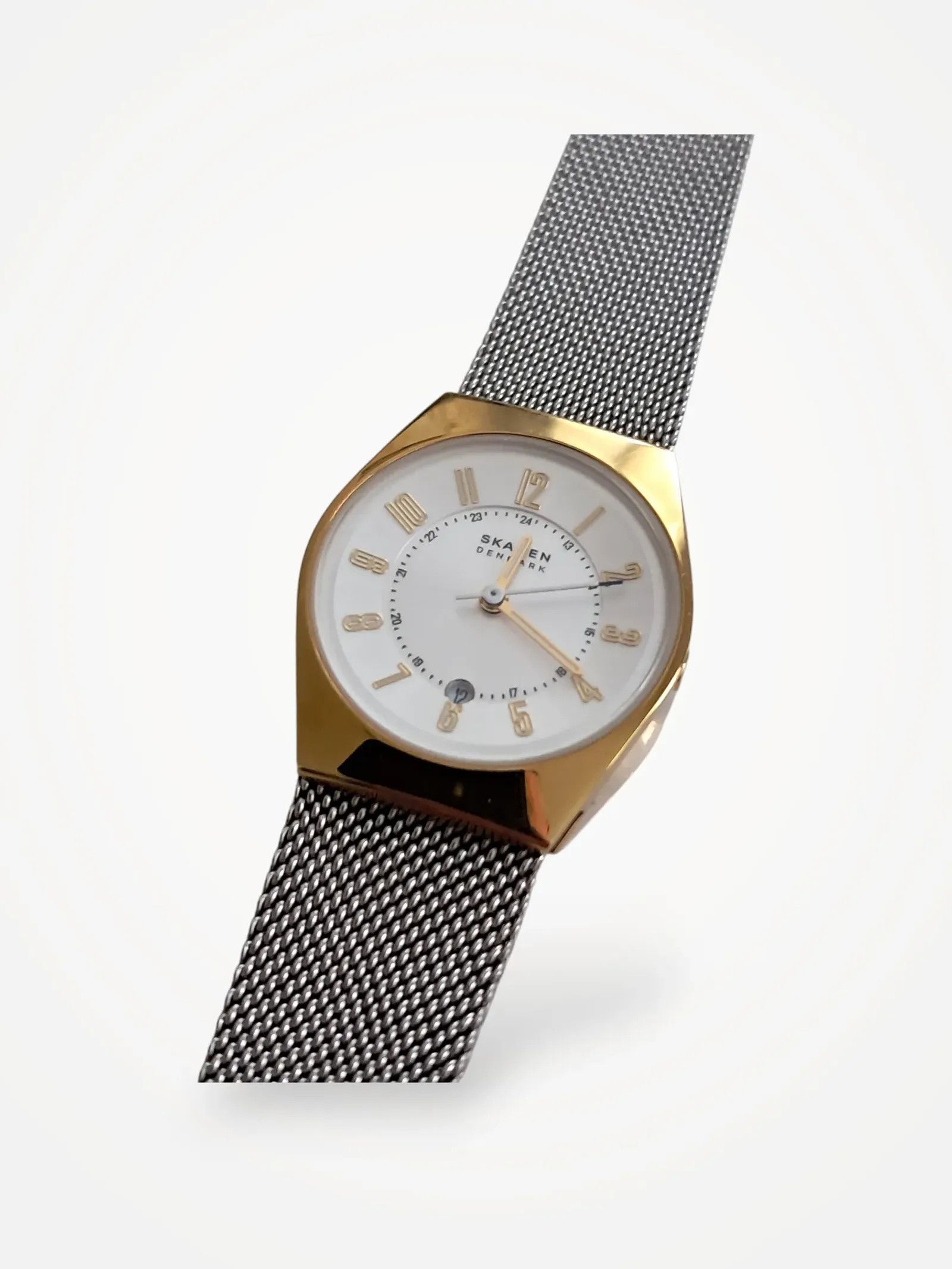 Skagen Watch