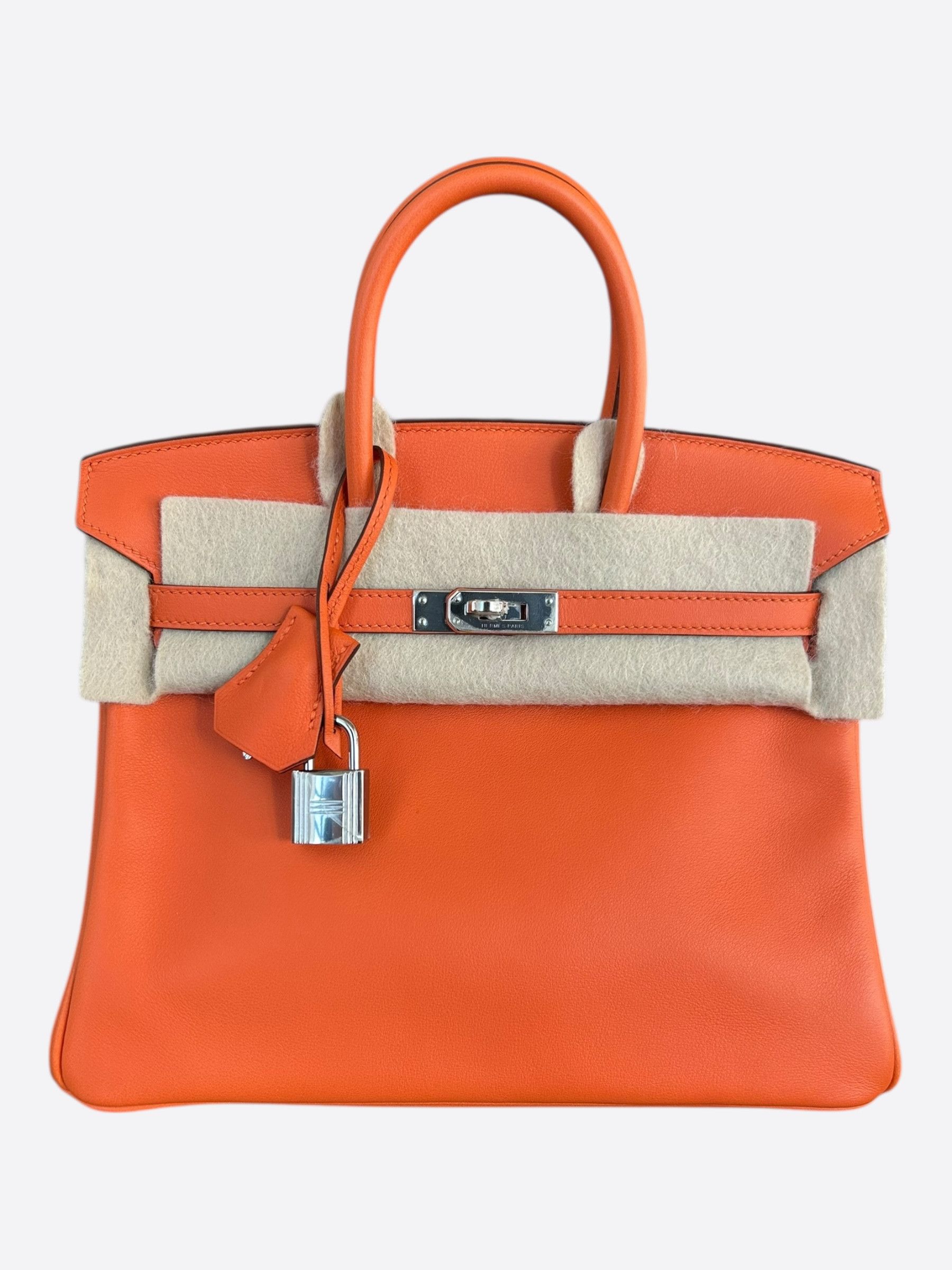 Hermes Hermes Orange Epsom & Palladium Hardware Birkin 25 Size ONE SIZE - 1 Thumbnail