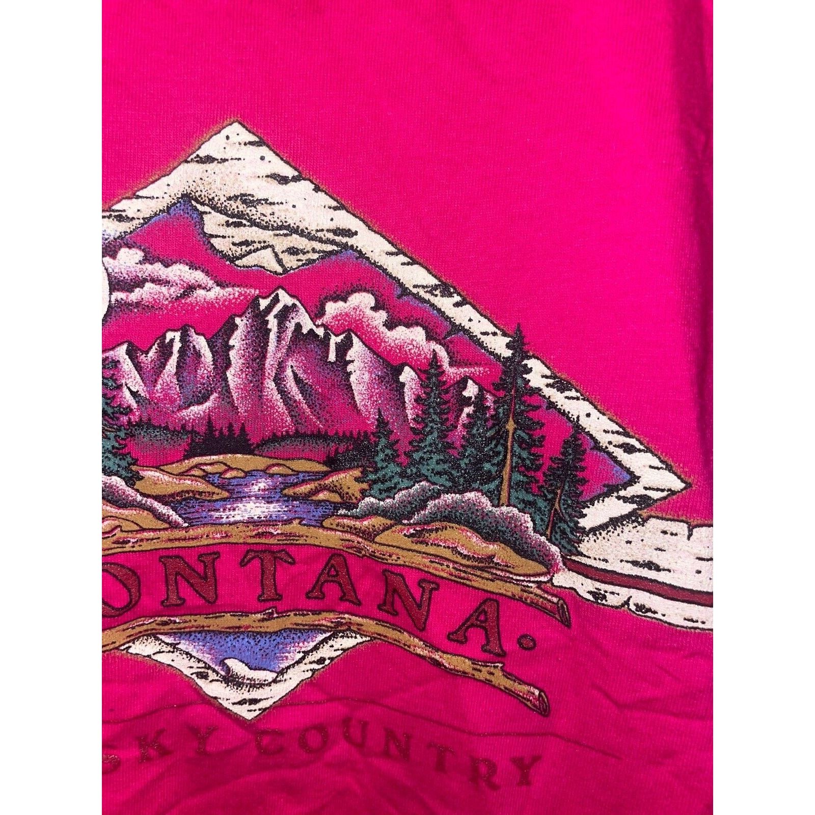Jerzees Vintage Big Sky Country Shirt Montana Tee USA 90s Pink Large Size US L / EU 52-54 / 3 - 9 Thumbnail