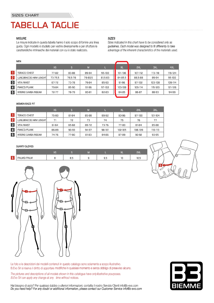 Bicycle BIEMME x FESTINA - Vintage Road Cycling Bibs Bib Shorts Size US 36 / EU 52 - 5 Thumbnail