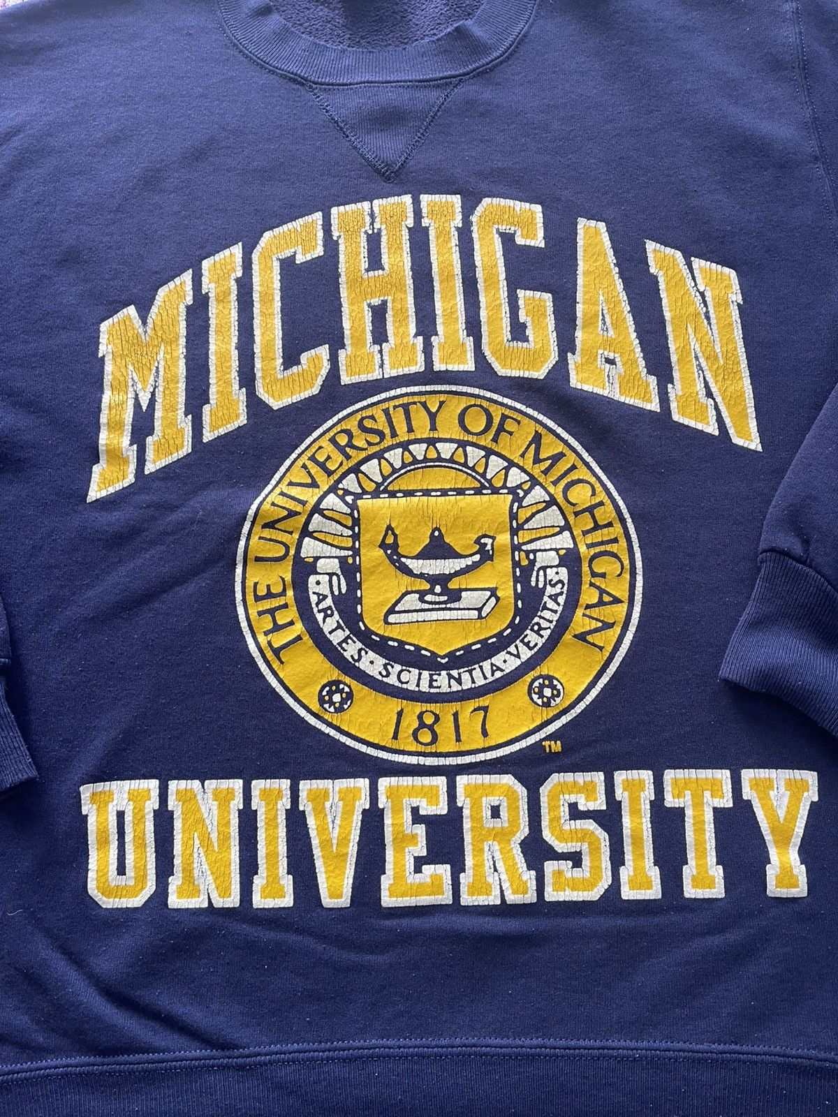 Russell Athletic VINTAGE UNIVERSITY OF MICHIGAN 1817 SPELL OUT VERY RARE Size US M / EU 48-50 / 2 - 2 Thumbnail