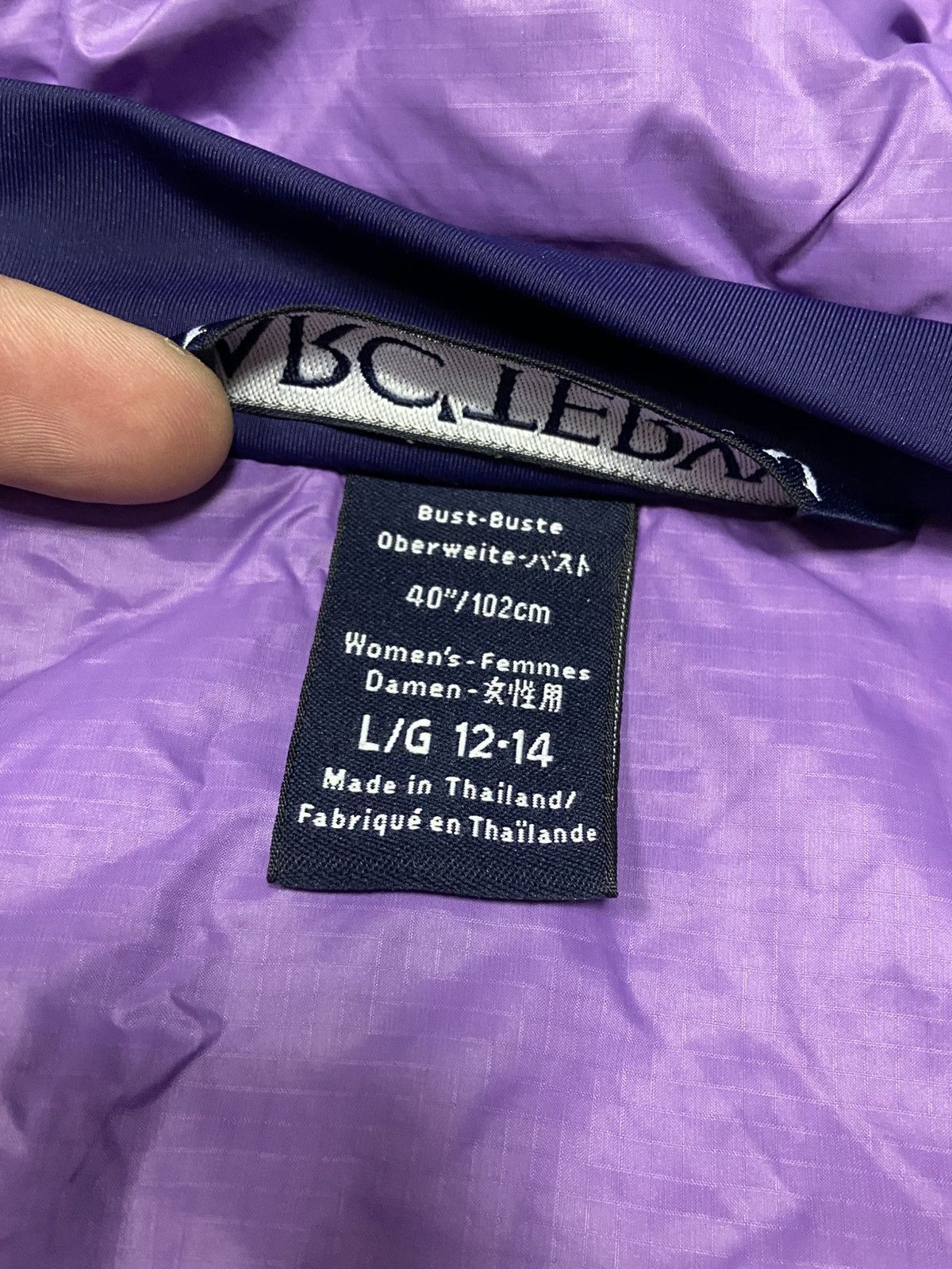 Arc'teryx Arcteryx atom bird jacket zip Size L / US 10 / IT 46 - 8 Thumbnail