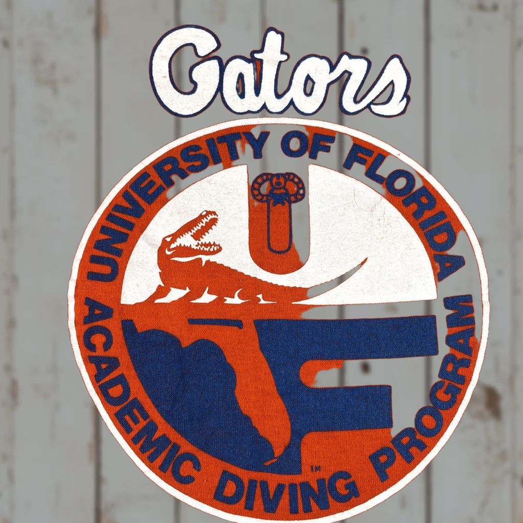 Soffe VINTAGE Soffe Shirt XL Crew Neck T-Shirt University Of Florida Gators USA Orange 90s 80s College Golf Coastal Ocean Mens Size US XL / EU 56 / 4 - 1 Thumbnail