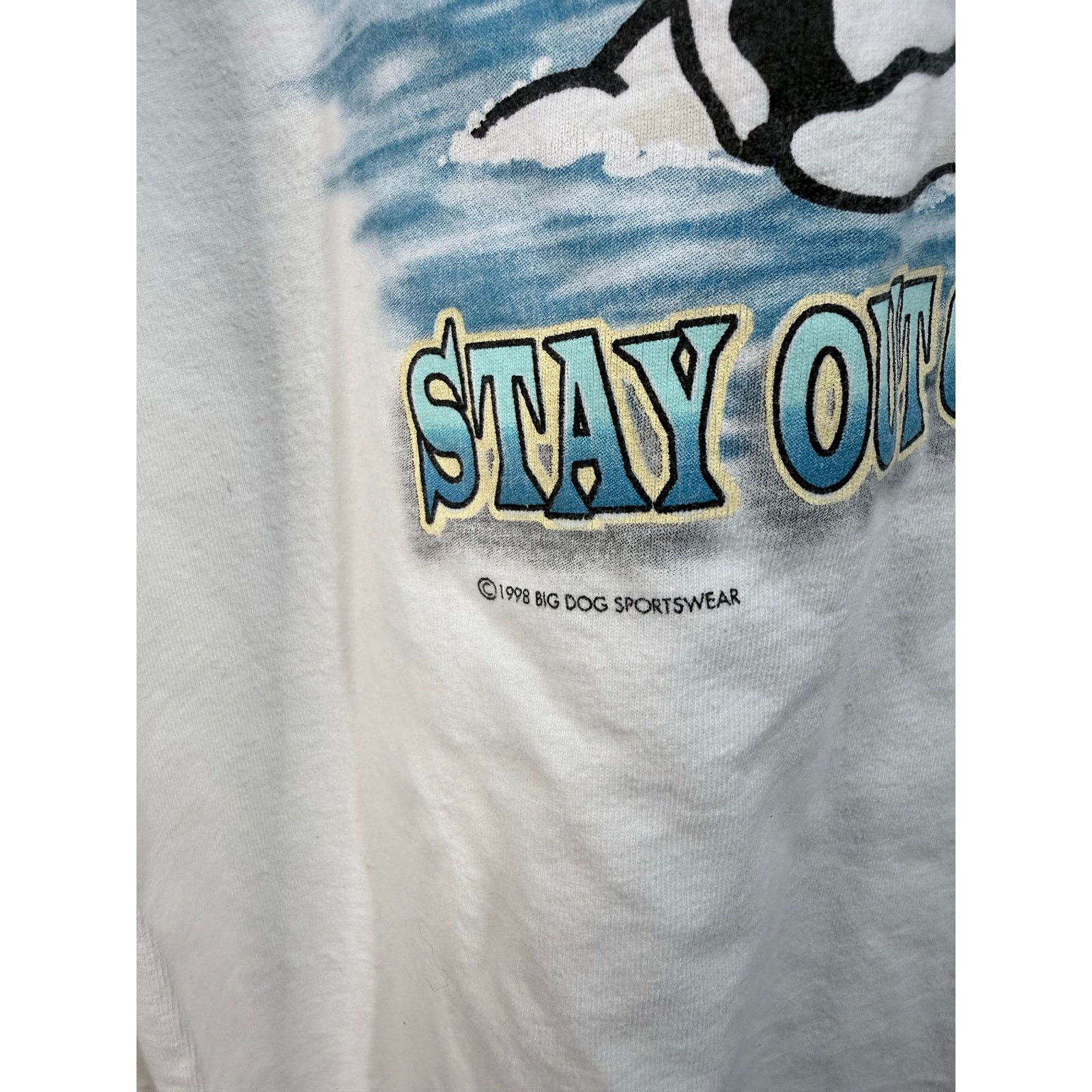 Big Dogs Large 98’ big dogs swimming tee Size US L / EU 52-54 / 3 - 2 Thumbnail