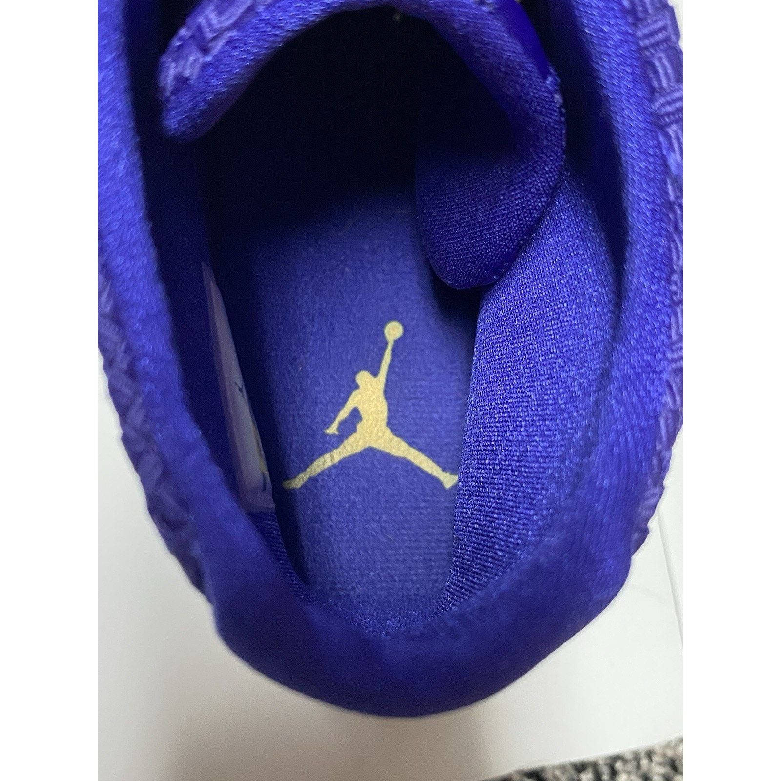 Jordan Brand Nike Air Jordan Future Dark Concord 2014 Mens 10.5 Sneaker Size US 10.5 / EU 43-44 - 9 Thumbnail