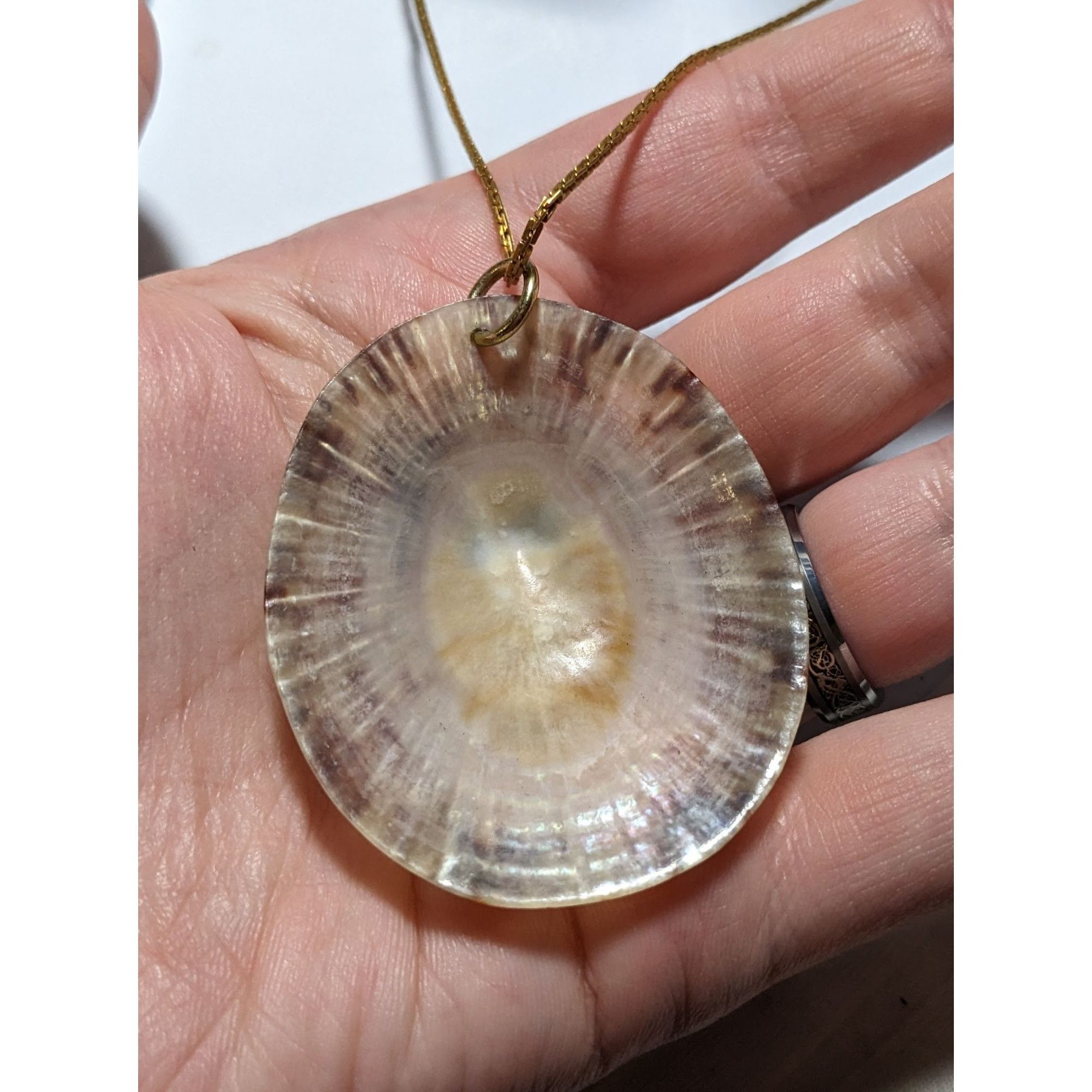 Other Limpet Shell Pendant Necklace Size ONE SIZE - 7 Thumbnail