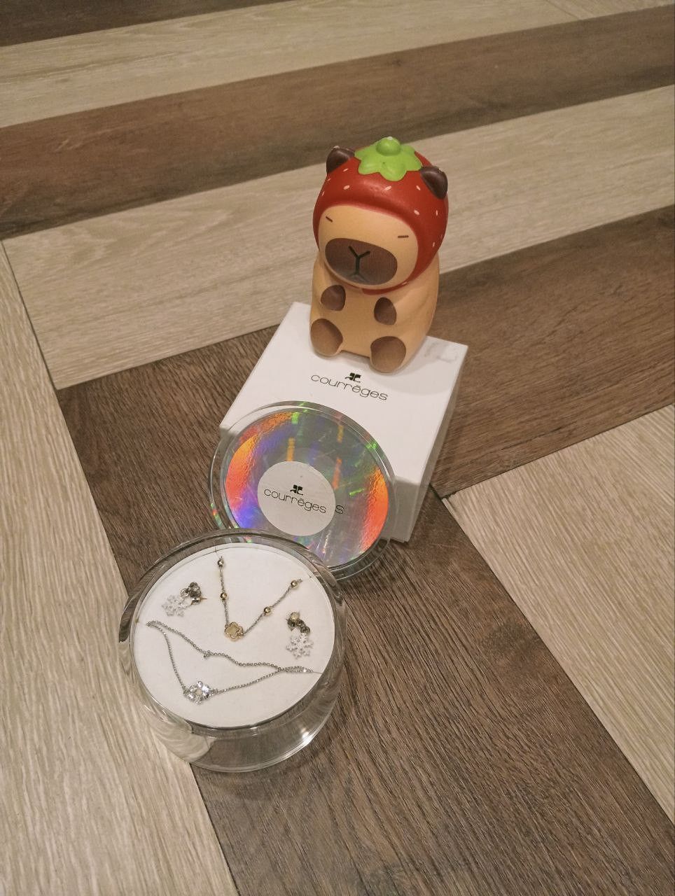 Courreges COURREGES SET BRACELET + EARRING Size ONE SIZE - 2 Thumbnail