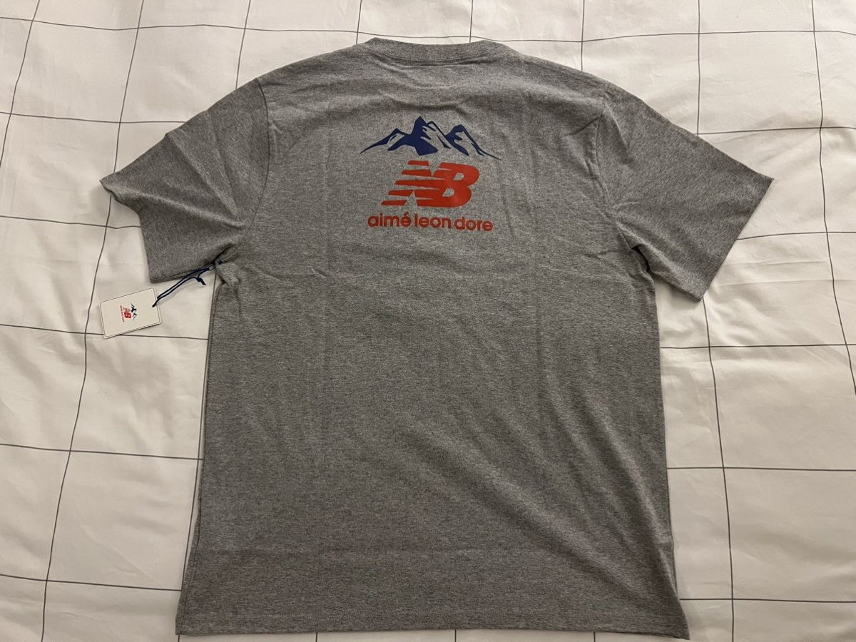 image of Aime Leon Dore New Balance Rainier Graphic Tee XL Grey, Men's