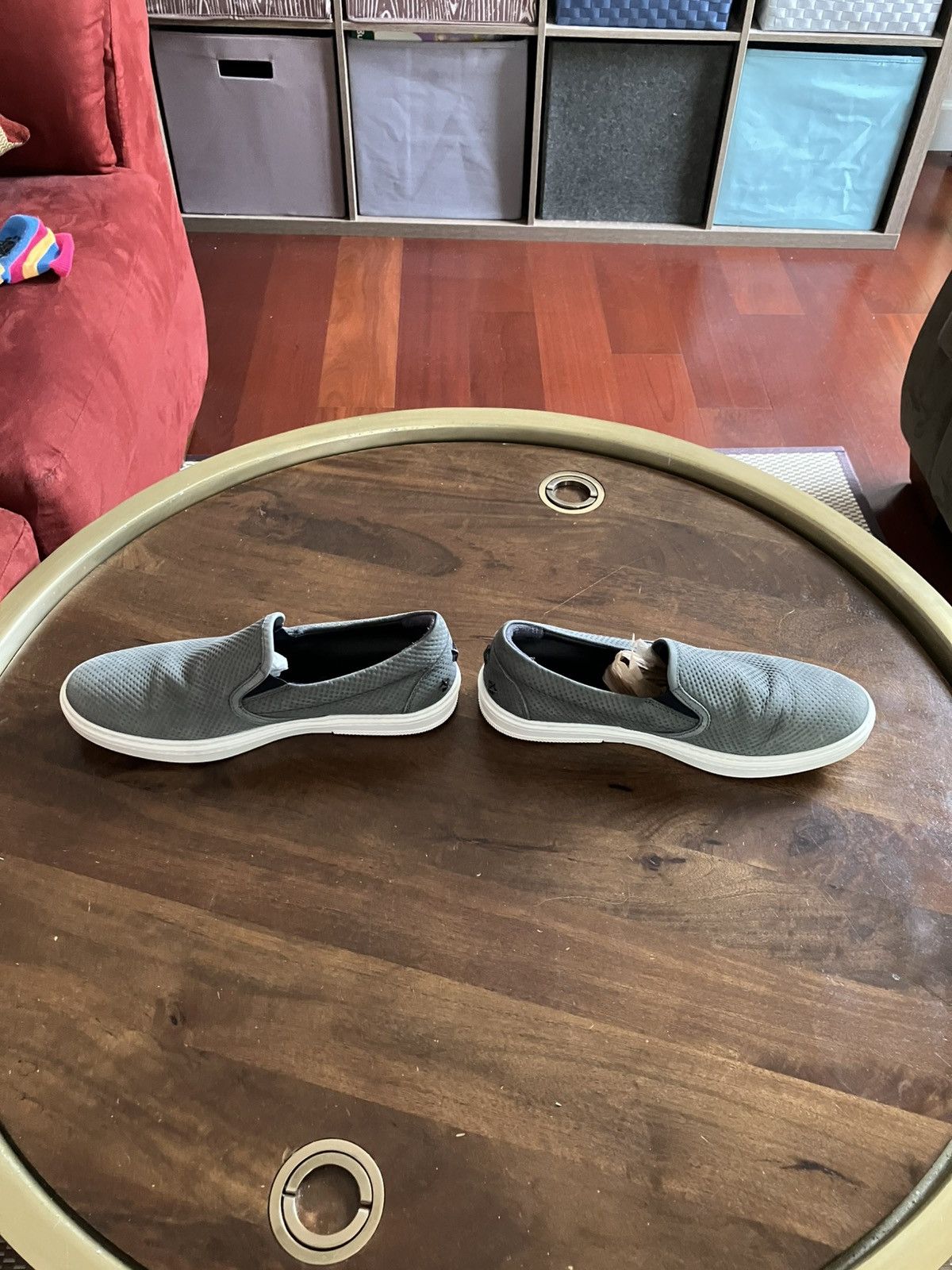 Jimmy Choo Jimmy Choo Grey/Green Skater Suede Leather Slip on Sneakers Size US 10.5 / IT 40.5 - 4 Thumbnail