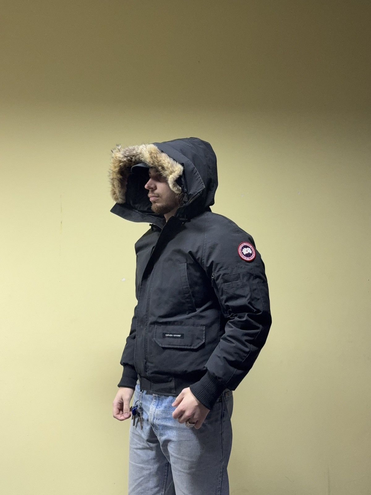 Canada Goose Canada Goose chilliwack bomber fur jacket down Size US S / EU 44-46 / 1 - 2 Thumbnail