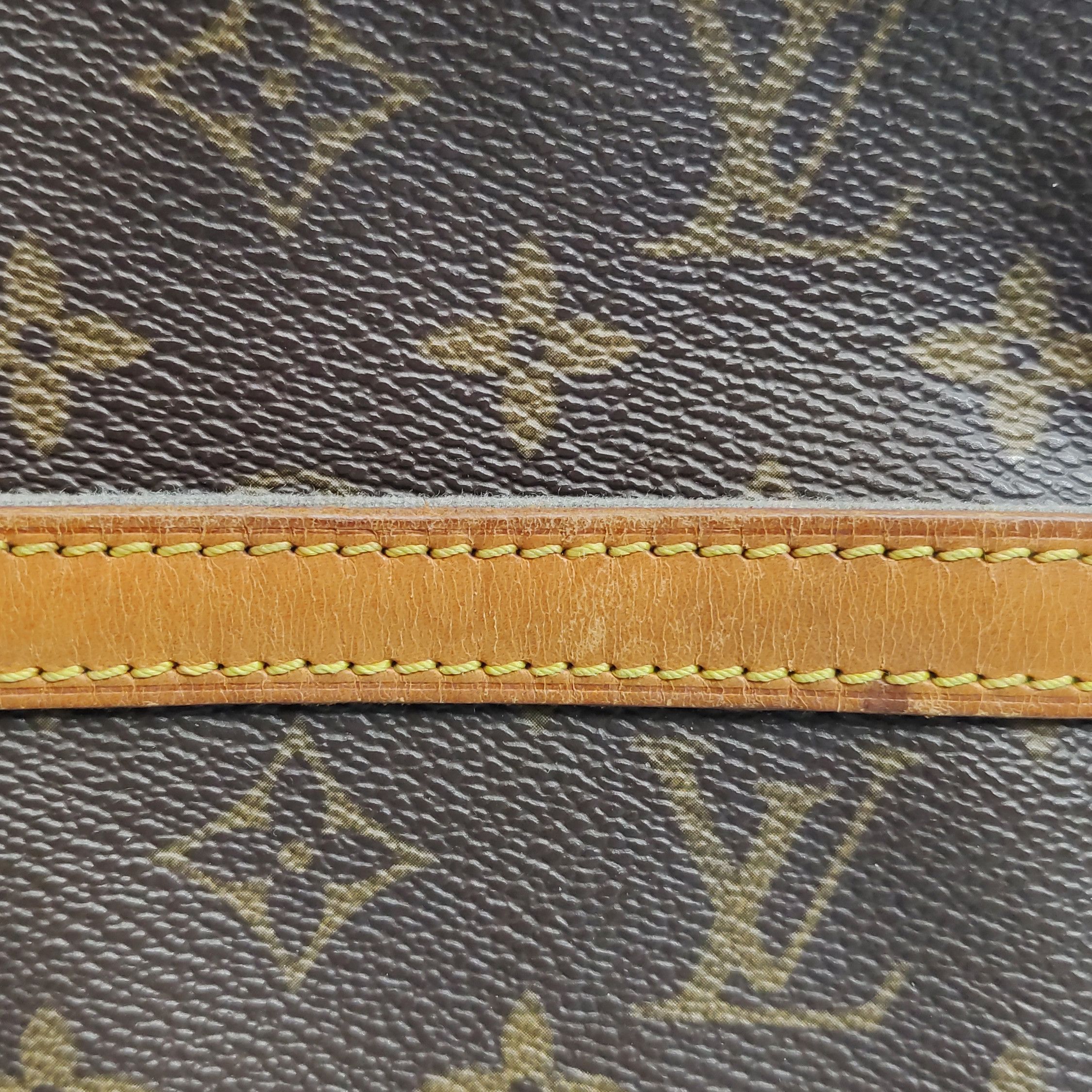 Louis Vuitton Louis Vuitton (LV) Amazone camera bag vegetable tanned leat Size ONE SIZE - 4 Thumbnail
