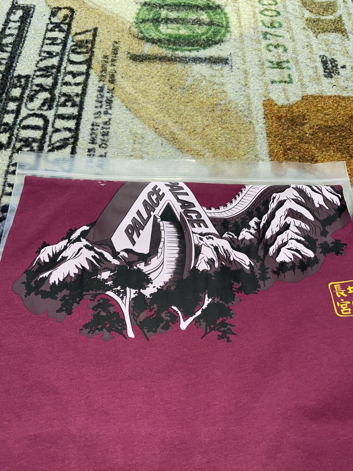 Palace Palace Great Wall of Tri-Na Tee Size US XL / EU 56 / 4 - 3 Thumbnail