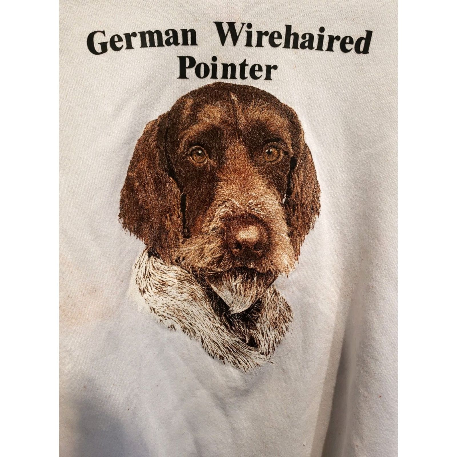 Fruit Of The Loom Vtg German Wirehair Pointer Puppy Dog Raglan Crewneck Sweatshirt Mens XXL Teal Crew Neck Pullover Dog Print Vintage Modern Shirt Featured 90s Size US XXL / EU 58 / 5 - 7 Thumbnail