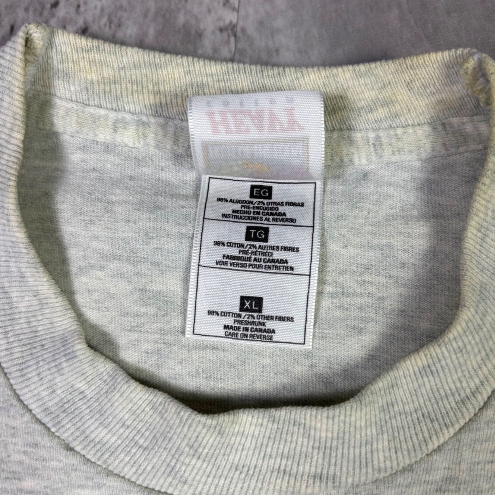 Vintage VINTAGE Capilano Suspension Bridge I Survived T-Shirt Gray XL North Vancouver Men Graphic Tee 1990s Size US XL / EU 56 / 4 - 5 Thumbnail