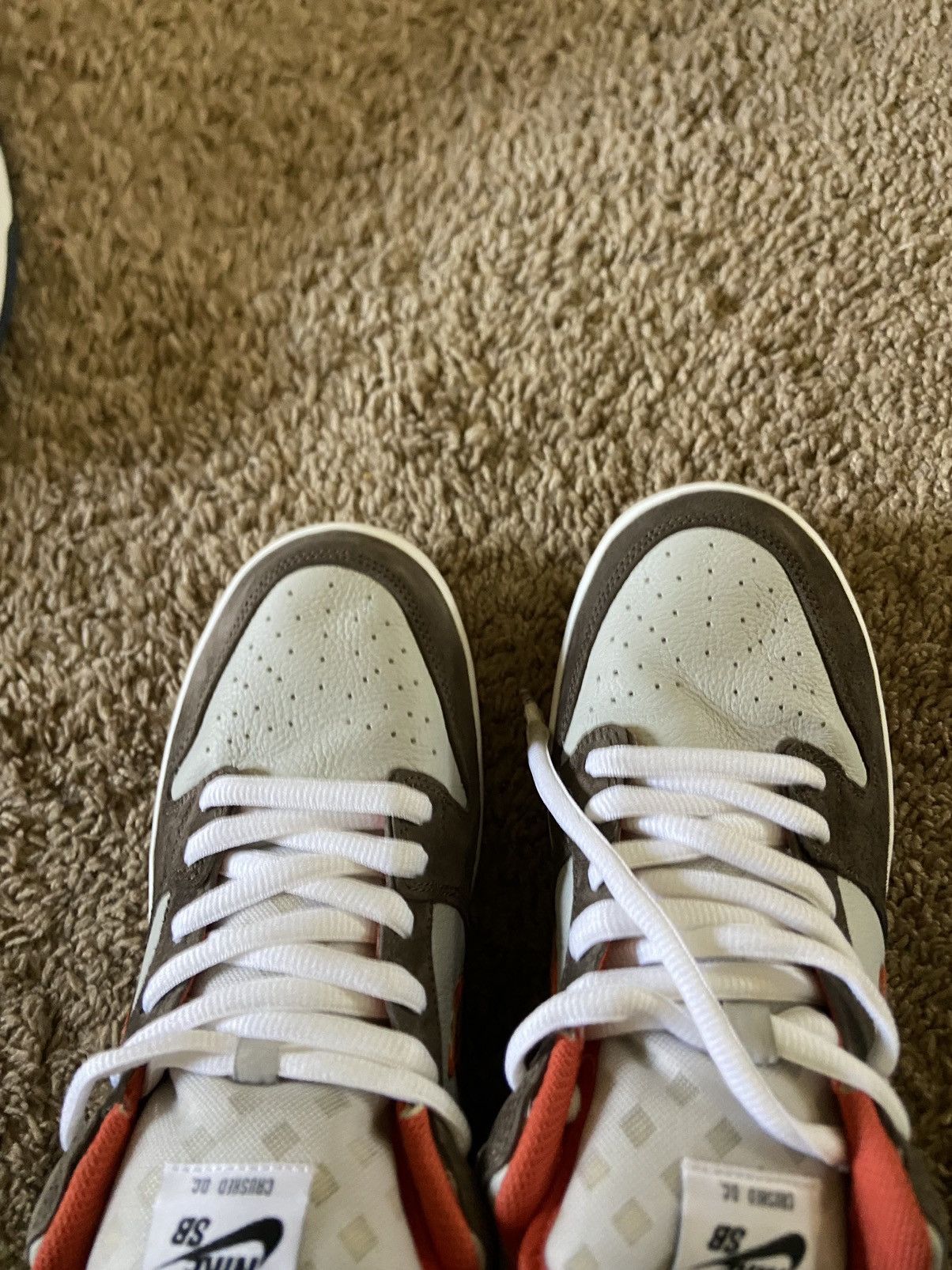 Nike Nike SB dunk low DC CRUSHED size 11 Size US 11 / EU 44 - 6 Thumbnail