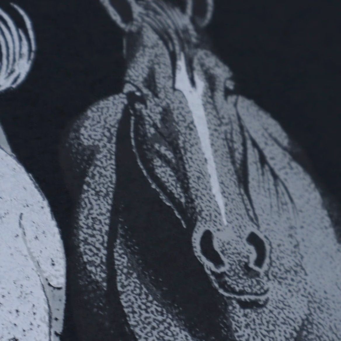 Fruit Of The Loom Fruit of the Loom Horse Double Sided Graphic Solid T-Shirt Black Men's M Size US M / EU 48-50 / 2 - 7 Thumbnail