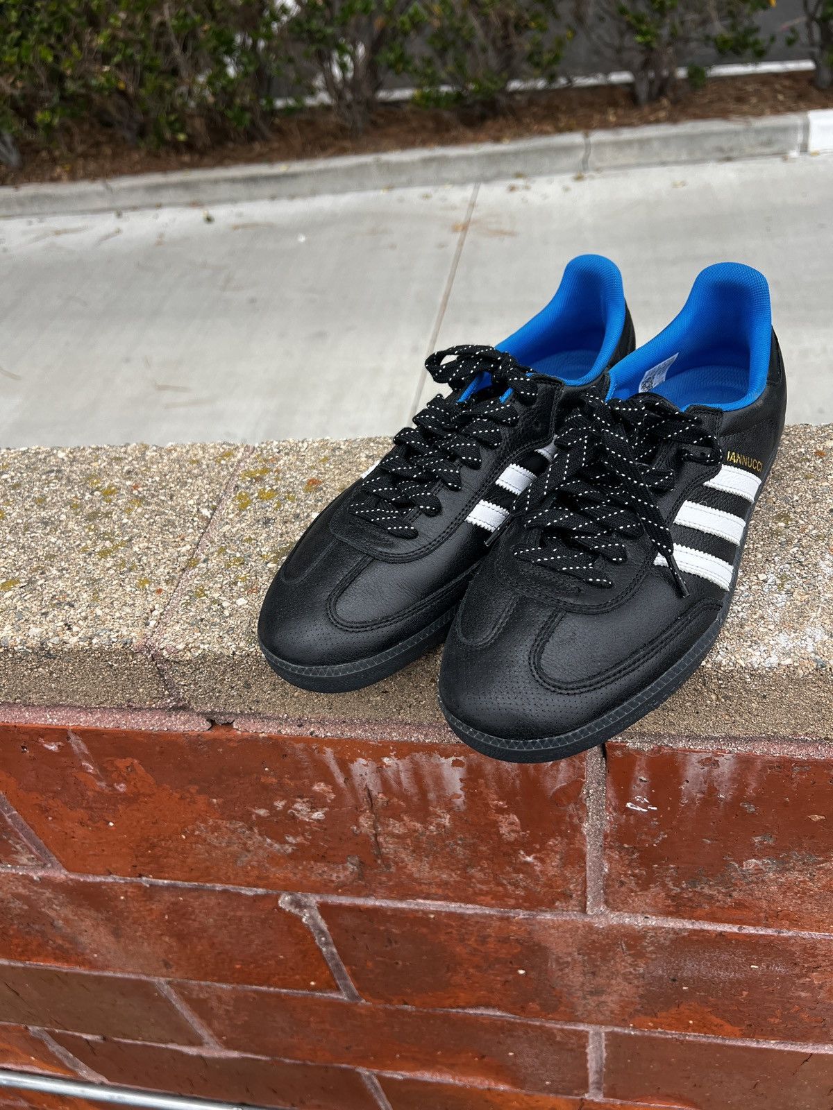 Adidas adidas Samba ADV "Gino Iannucci" | Grailed