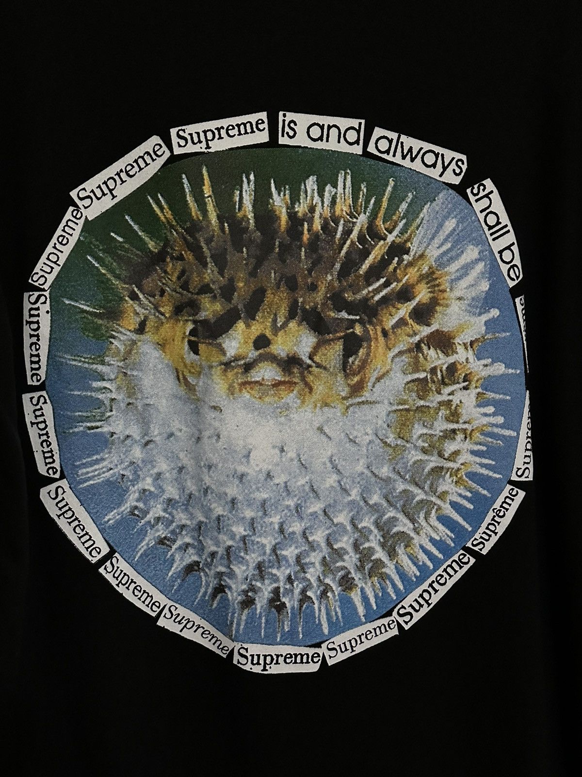 Supreme Supreme Blowfish Tee Size US M / EU 48-50 / 2 - 2 Thumbnail