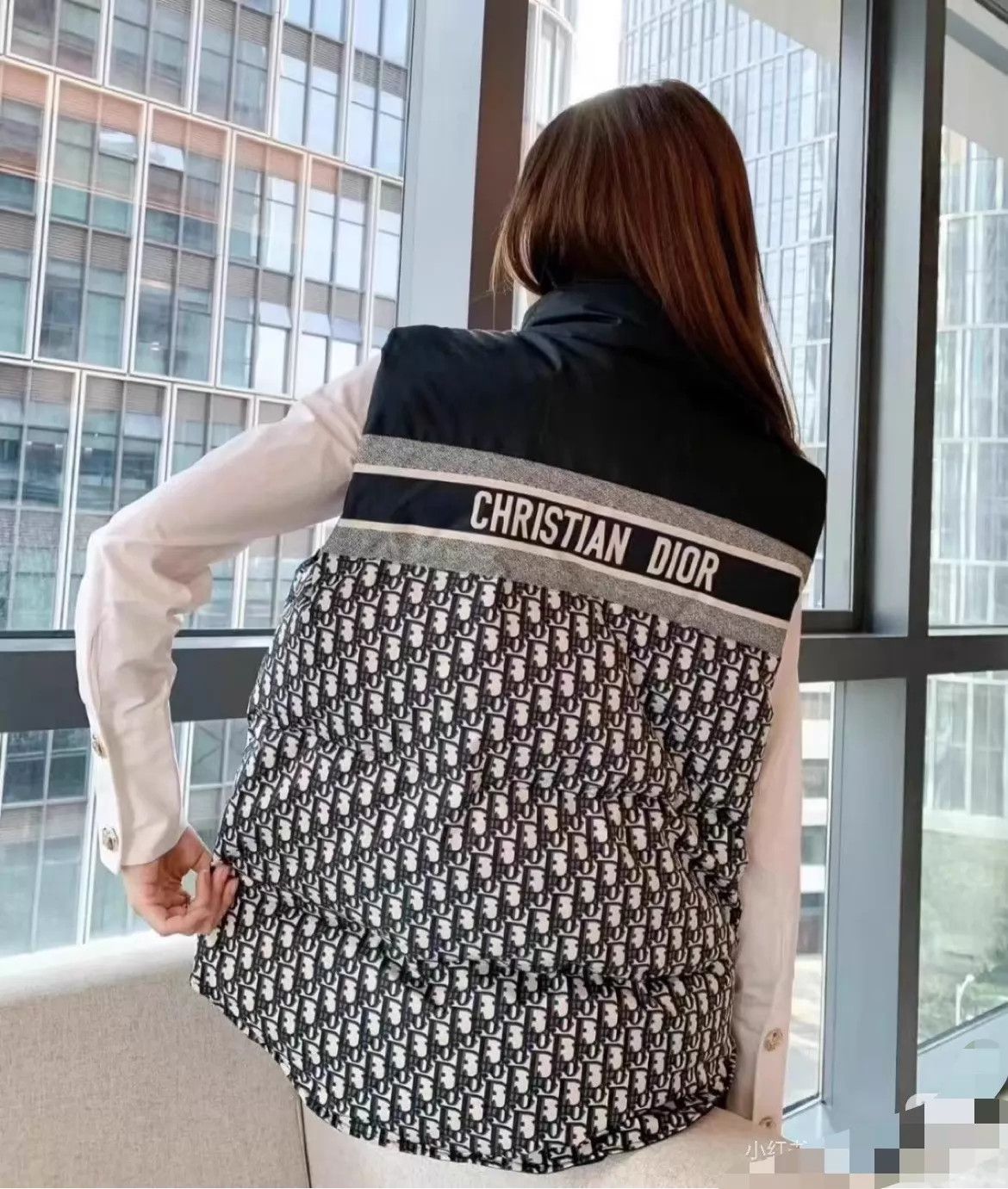 Dior Dior Oblique Reversible Streetwear Vest XS Size XS / US 0-2 / IT 36-38 - 8 Thumbnail