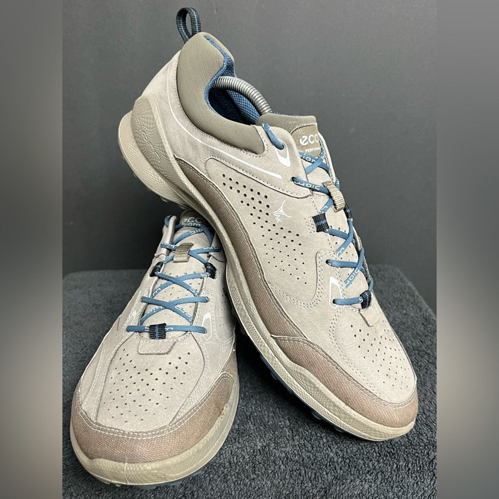Ecco Ecco Gore-Tex Men’s Biom Performance Terrain Size 45 US 11 Size US 11 / EU 44 - 4 Thumbnail
