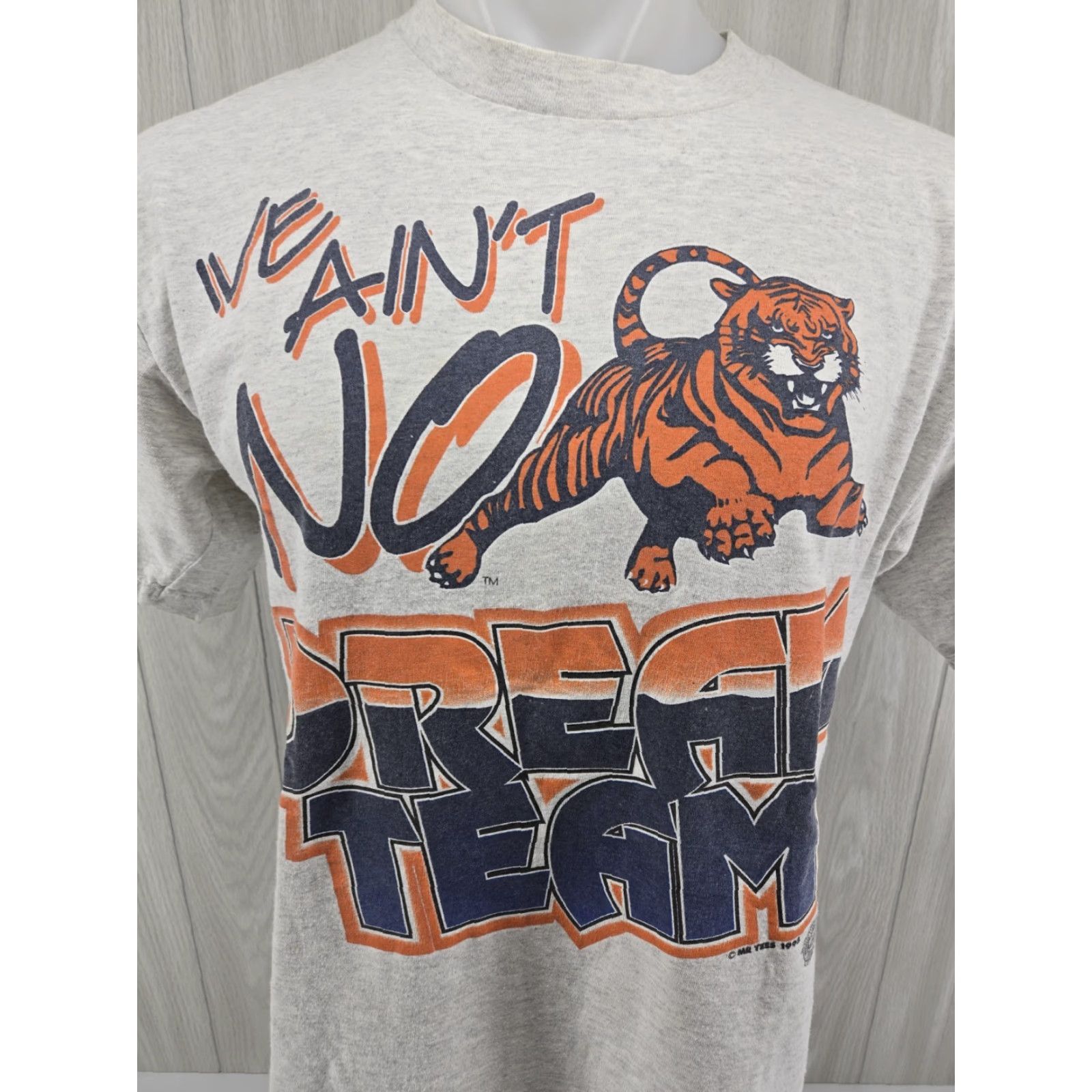 Vintage VINTAGE AGED MR Tees 1995 Auburn Football Tee Large Gray Cotton T-Shirt Men Short Sleeve Vintage Football 90s College DBL Sided Single-Stitch Size US L / EU 52-54 / 3 - 3 Thumbnail