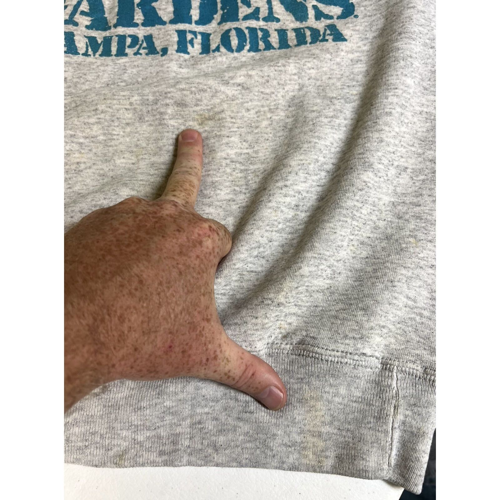 Vintage VINTAGE Busch Gardens Tampa Florida Santee Crewneck Sweatshirt M Gray Mens Regular Size M / US 6-8 / IT 42-44 - 7 Thumbnail