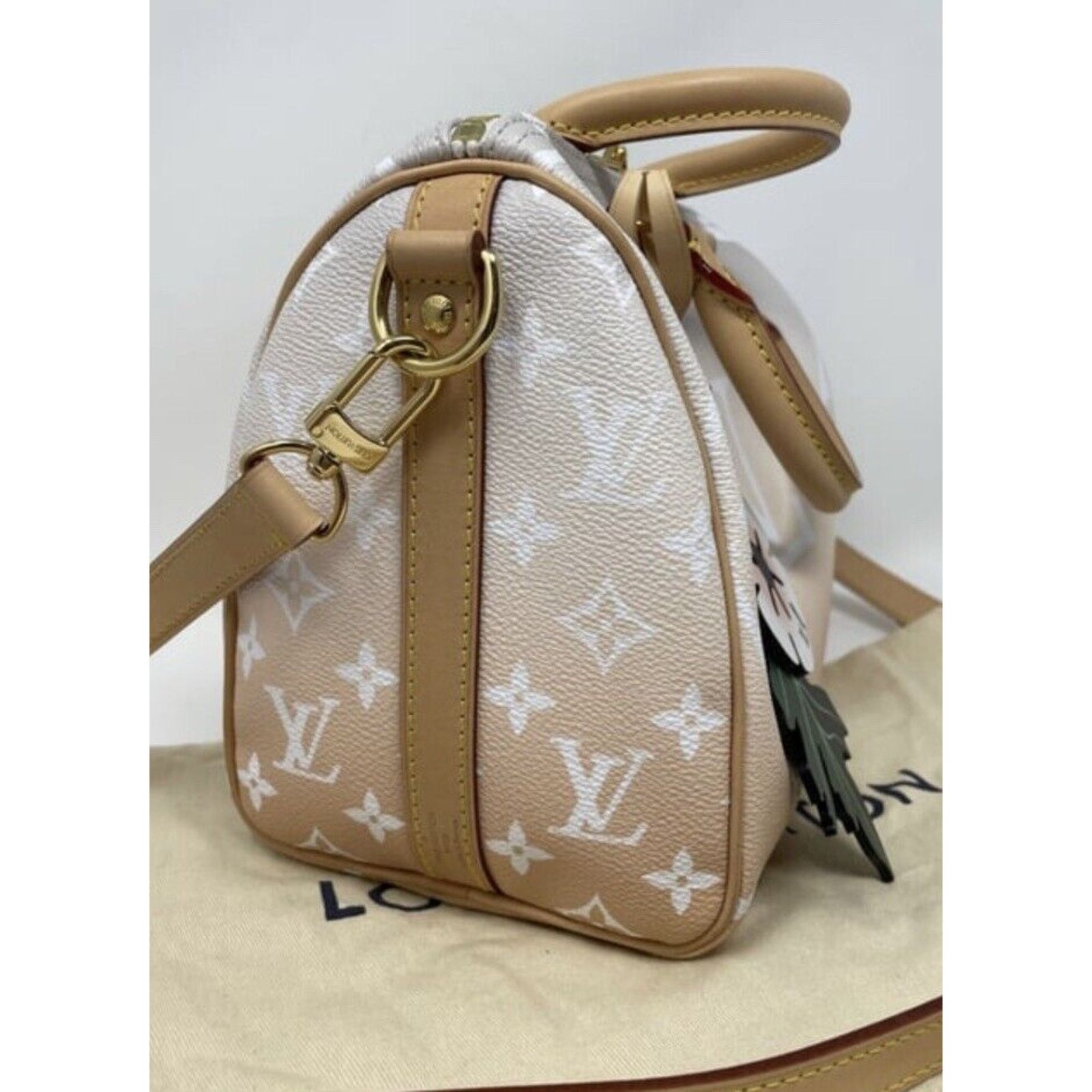 Louis Vuitton Louis Vuitton Speedy 25 Bandouliere Summer By The Pool Mist Size ONE SIZE - 4 Thumbnail