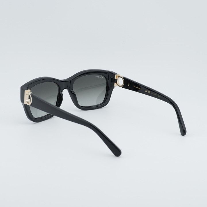 Salvatore Ferragamo SF1012S 001 Sunglasses Black Rectangle display picture 1