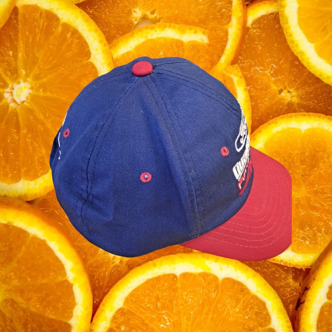 Other Pro-Tek Ford Jarrett Snapback Baseball Hat Cap Size ONE SIZE - 4 Thumbnail