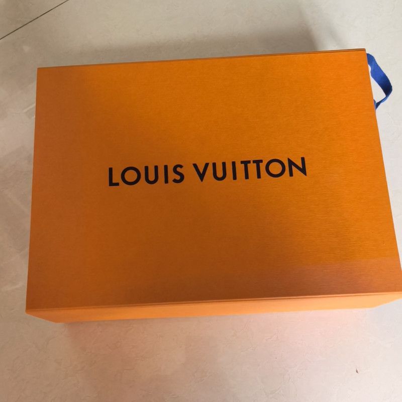 Louis Vuitton Louis Vuitton Trainer Maxi Low-Top Sneakers -2508 Size US 9 / EU 42 - 4 Thumbnail
