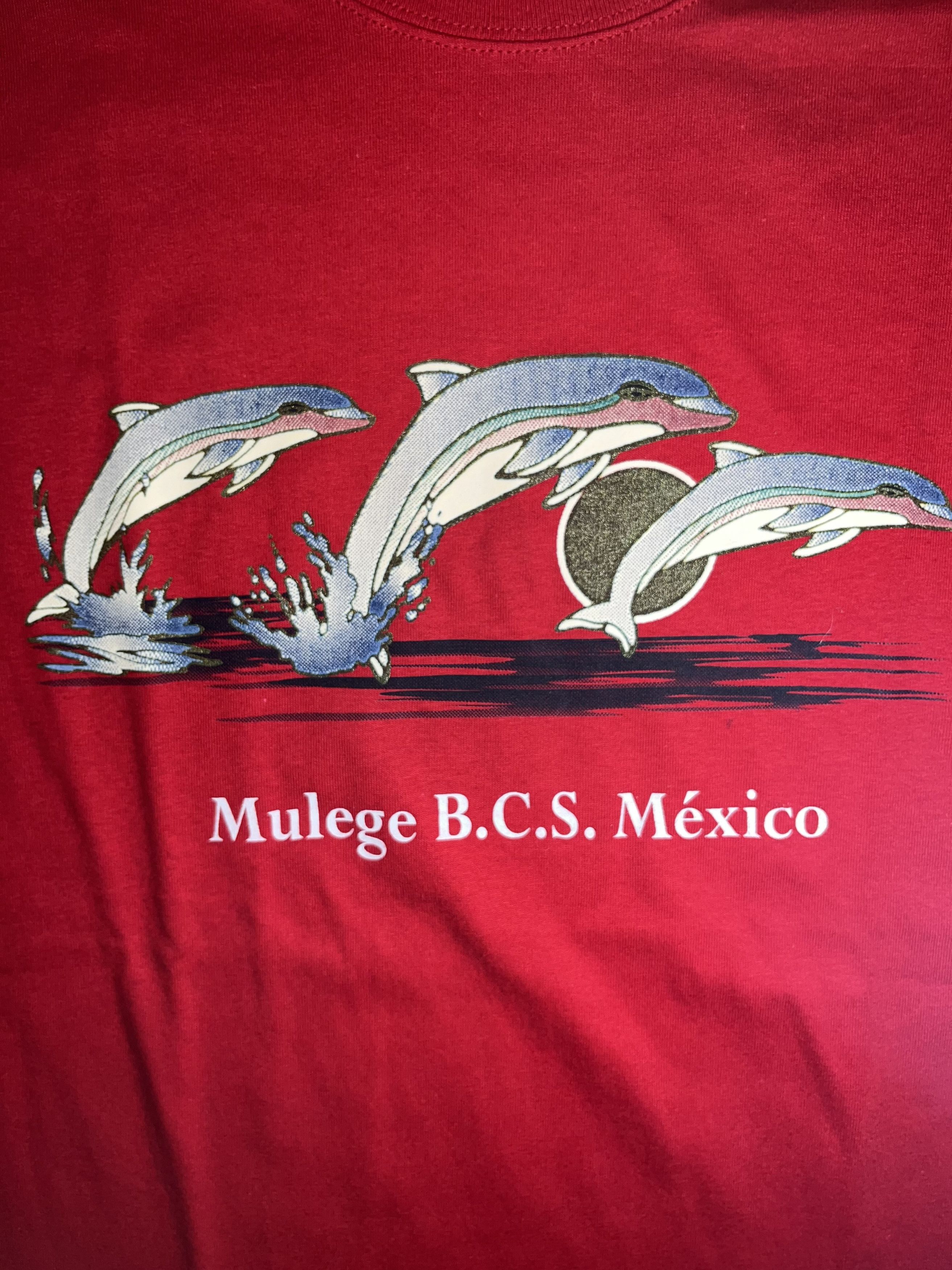 Mexicana × Vacation × Vintage Mulege Baja California Sur, Mexico Dolphin Shirt Size US L / EU 52-54 / 3 - 3 Thumbnail