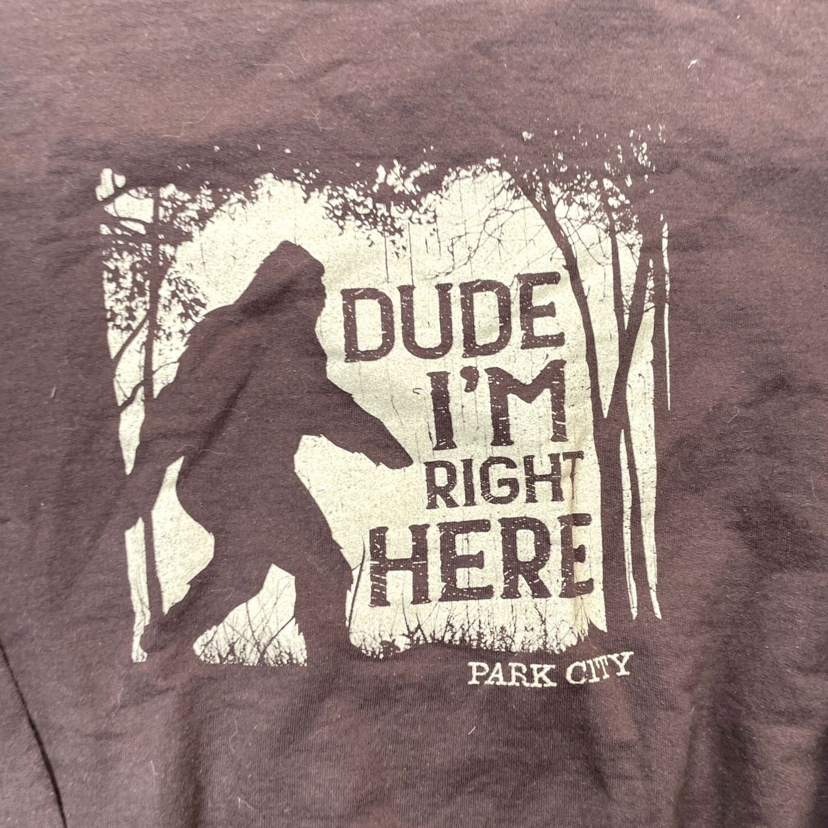 Gildan Gildan Sweatshirt Mens M Brown Graphic Print Logo City Park City Logo Crew Neck Cotton Polyester Fleece Lined Fall Winter Hiking Size US M / EU 48-50 / 2 - 3 Thumbnail