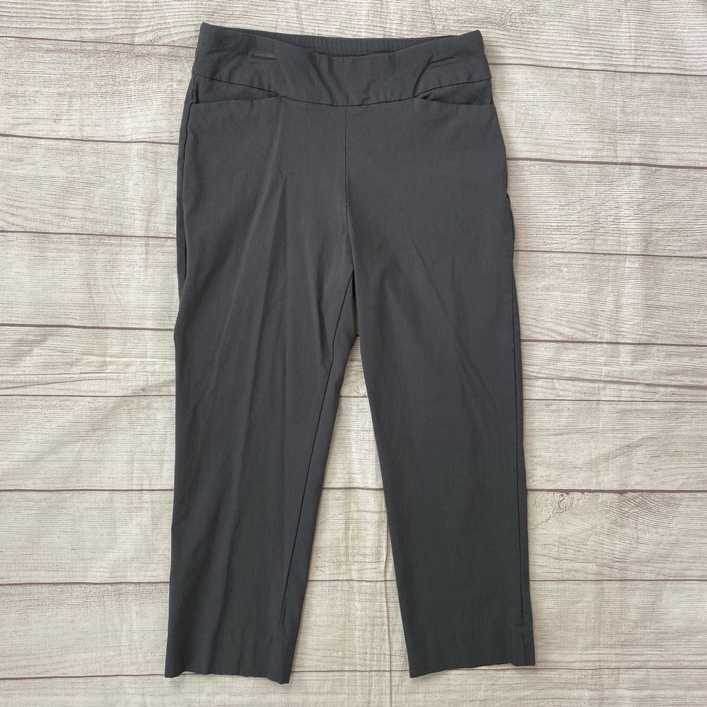Other Susan Graver women 4 pull on elastic high waist grey Capri p Size 27" / US 4 / IT 40 - 1 Thumbnail